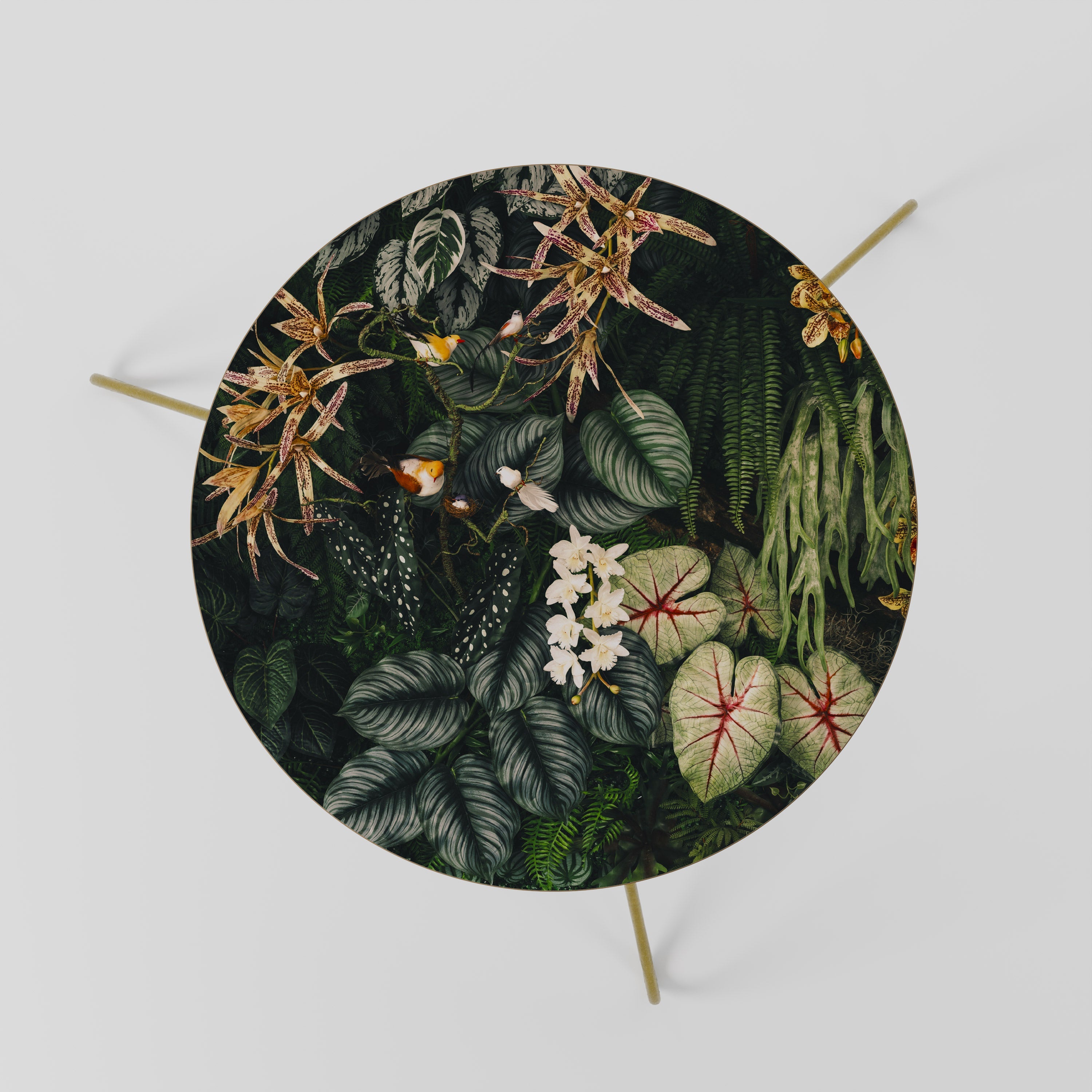 Table basse SILENT WILDERNESS 60