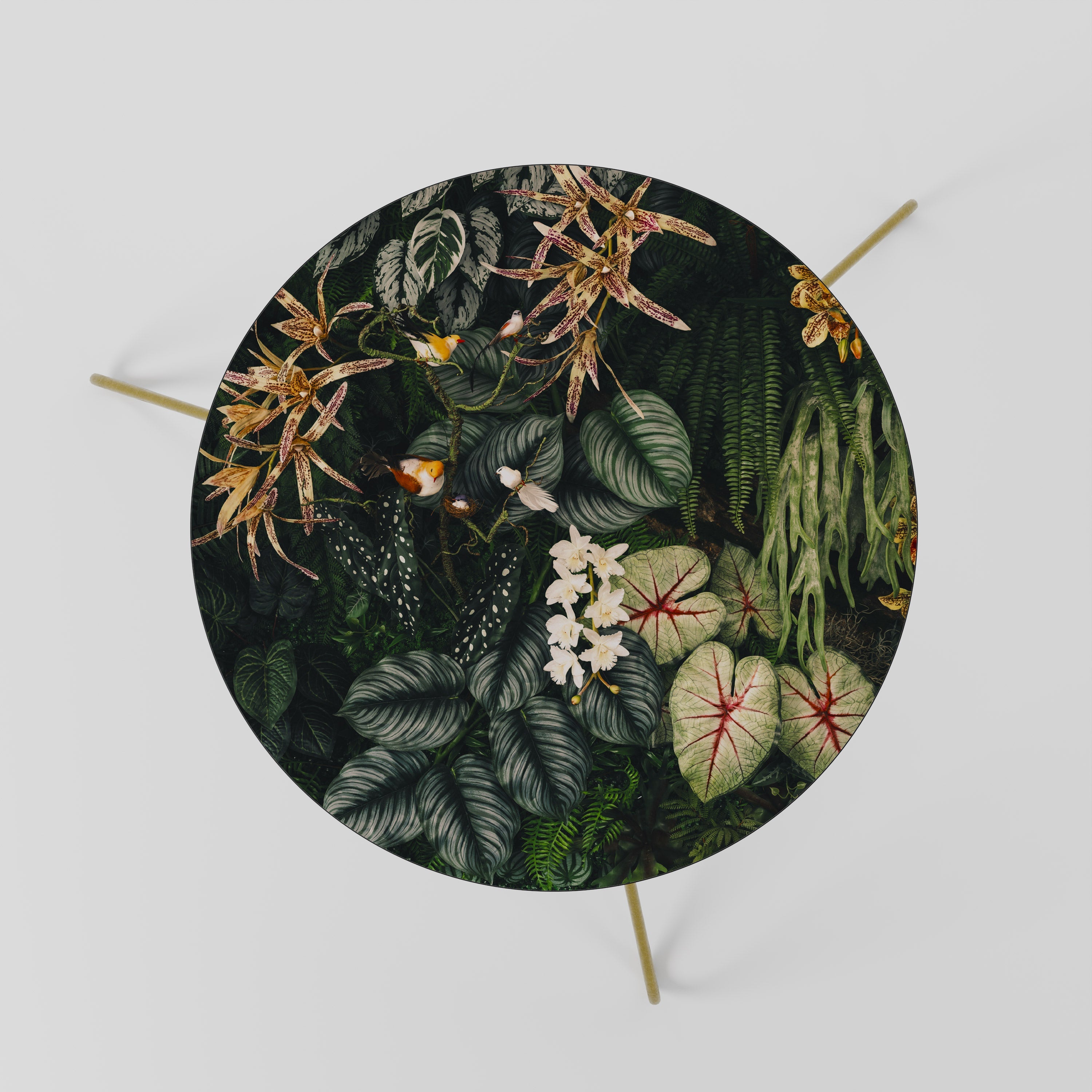 Table basse SILENT WILDERNESS 60