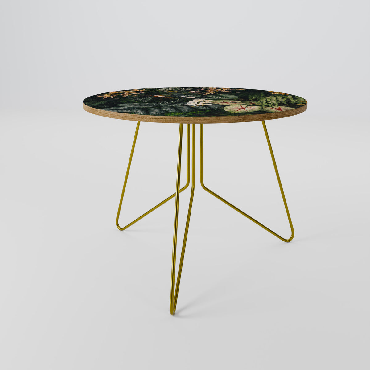 SILENT WILDERNESS Coffee Table