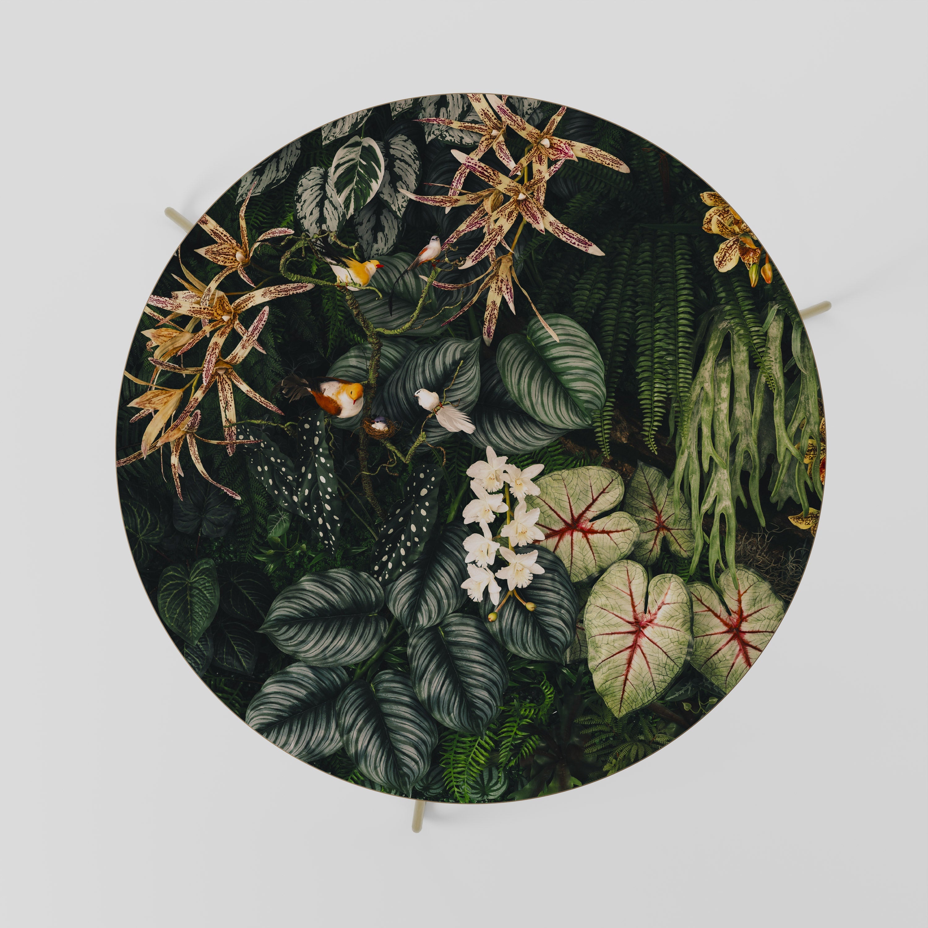 Table basse SILENT WILDERNESS 69