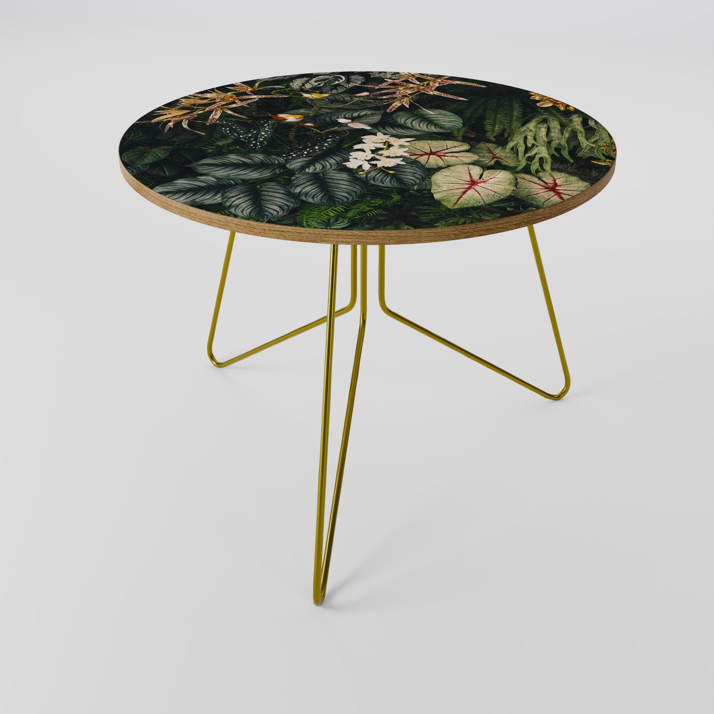 SILENT WILDERNESS Coffee Table