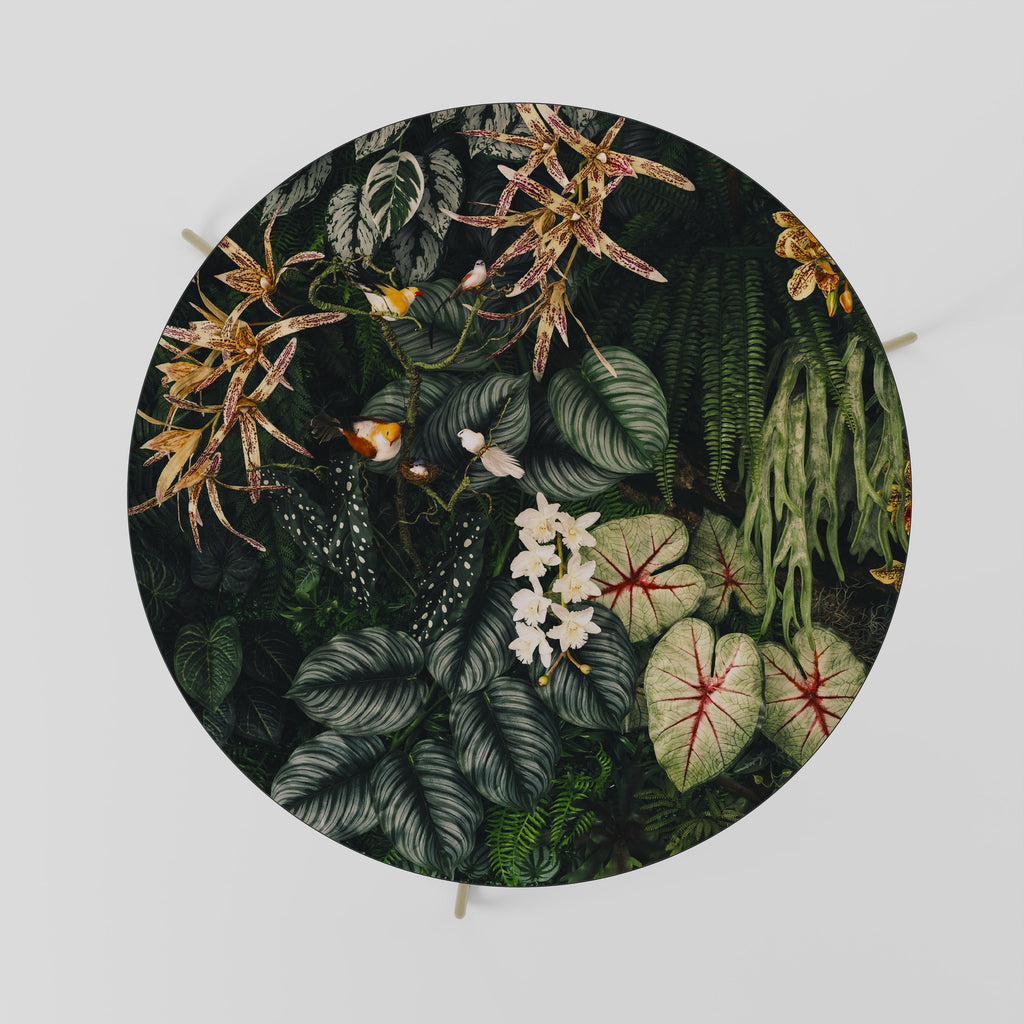 Table basse SILENT WILDERNESS 69