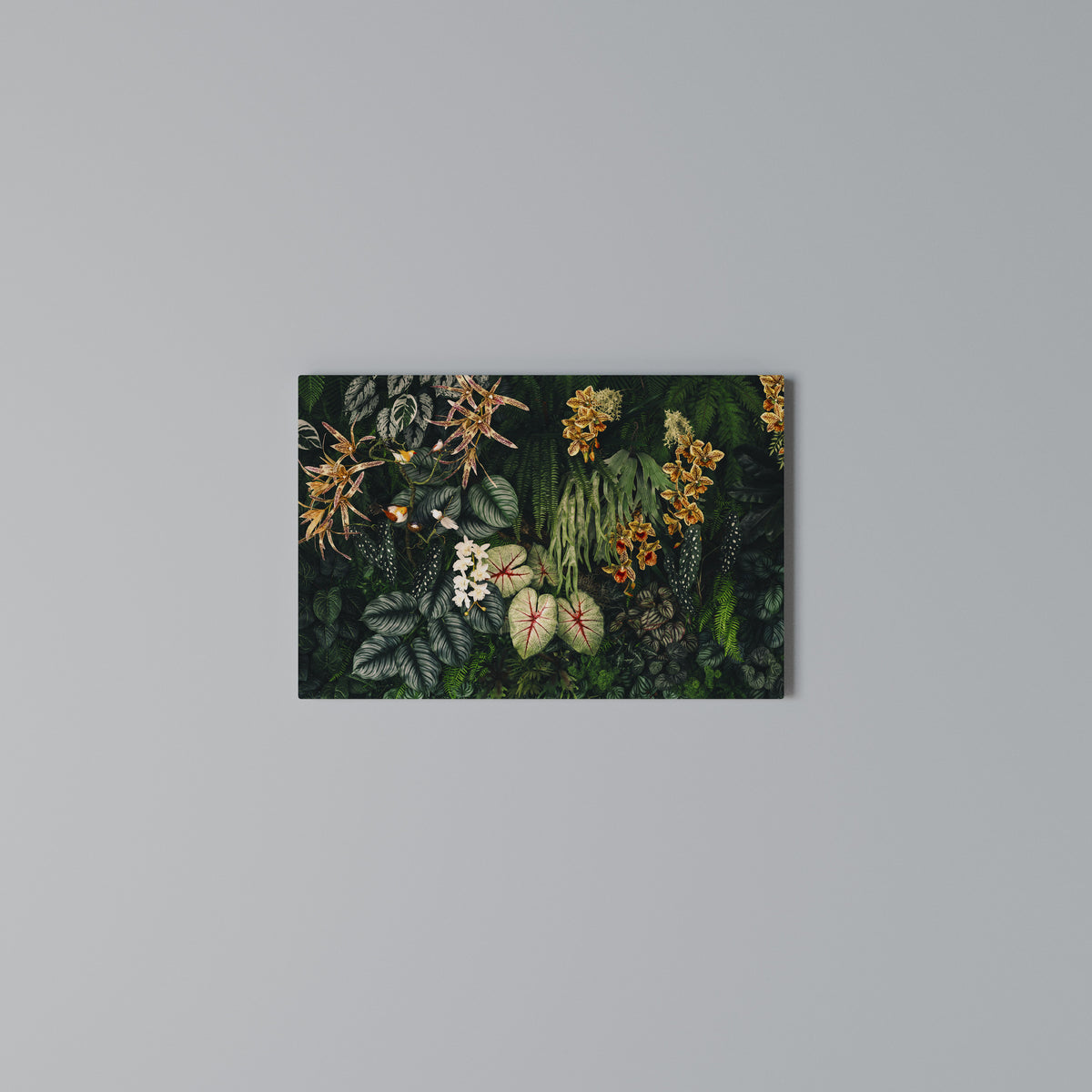 SILENT WILDERNESS Horizontal Canvas Print