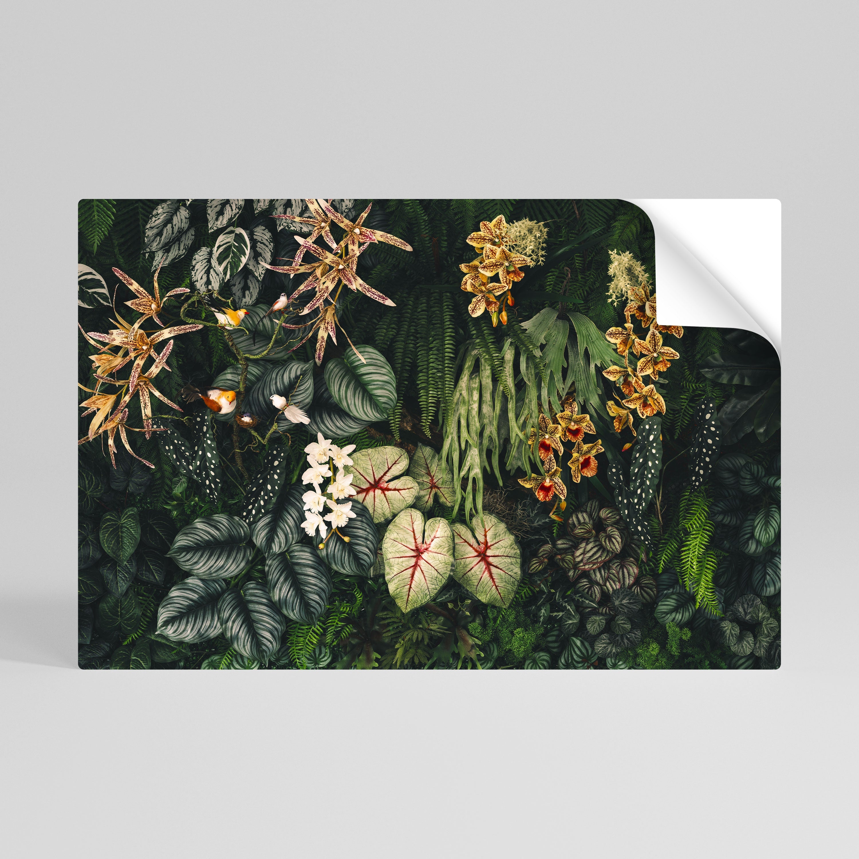 Affiche horizontale autocollante SILENT WILDERNESS