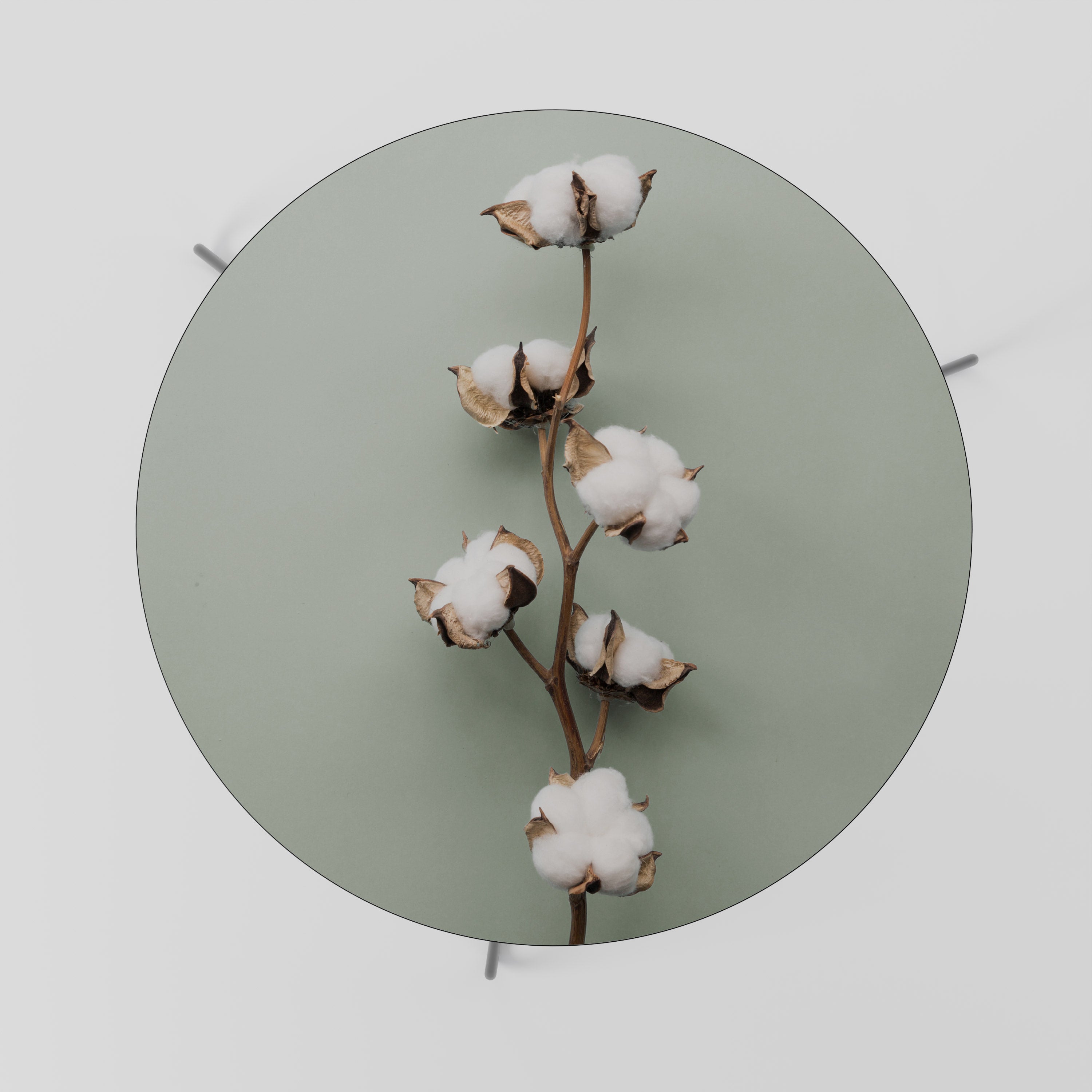 Table basse COTTON DREAMS UNFOLDED 69