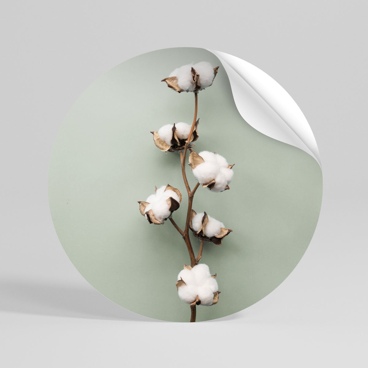 COTTON DREAMS UNFOLDED Peel and Stick Round Sticker