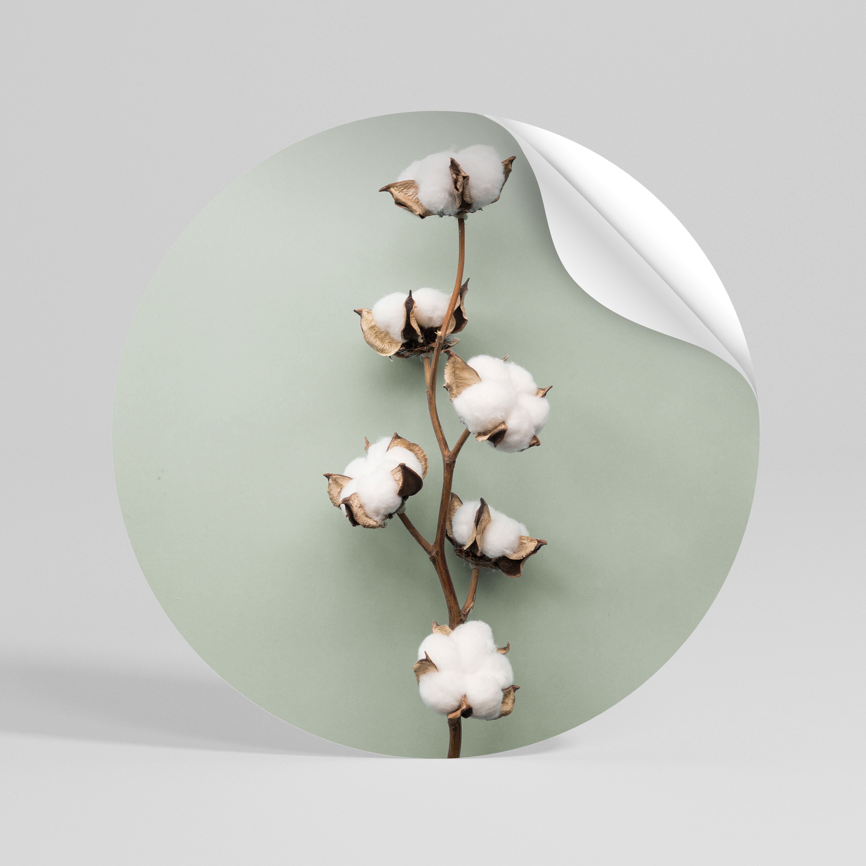 COTTON DREAMS UNFOLDED Peel and Stick Round Sticker
