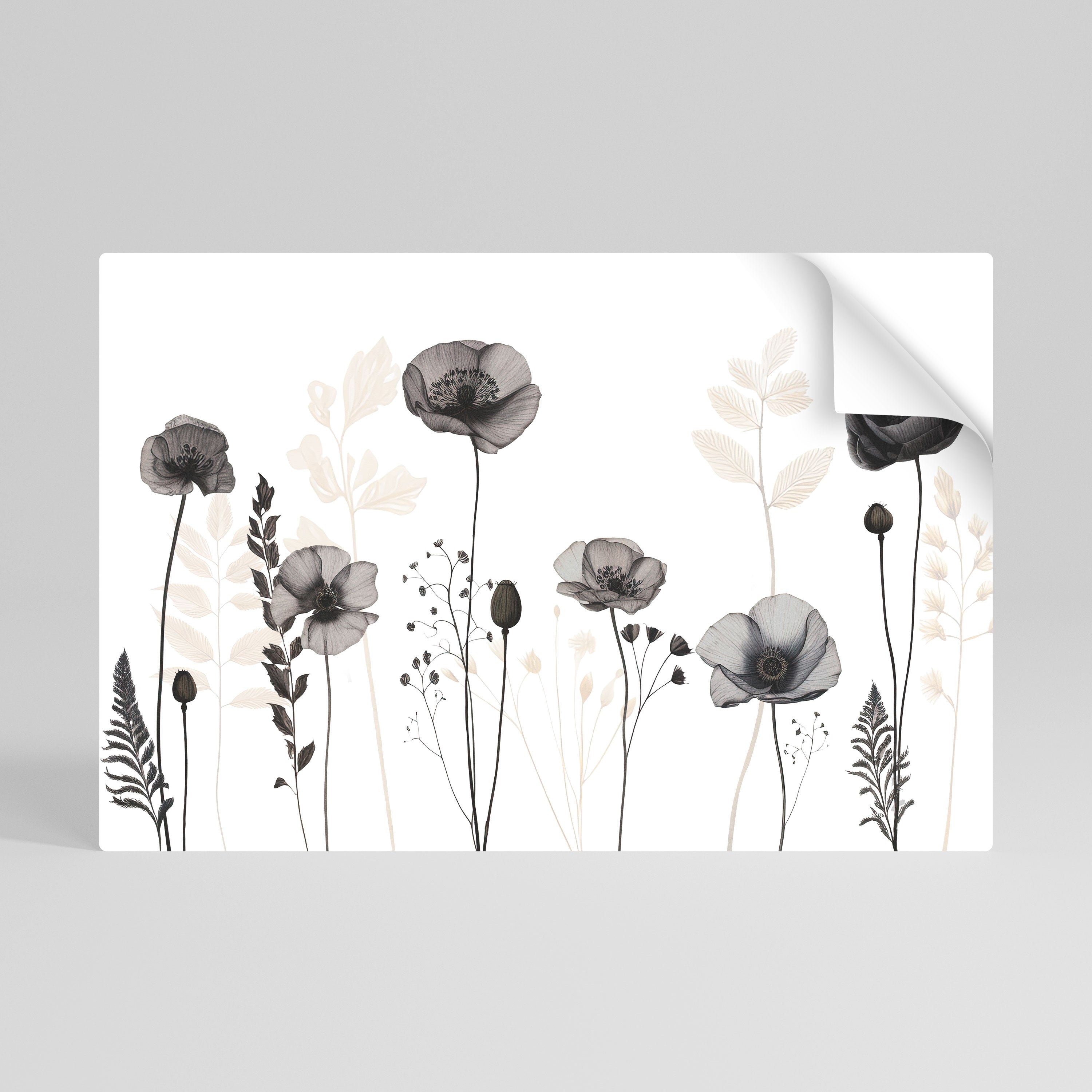 POPPY ALLURE Peel and Stick Horizontal Poster