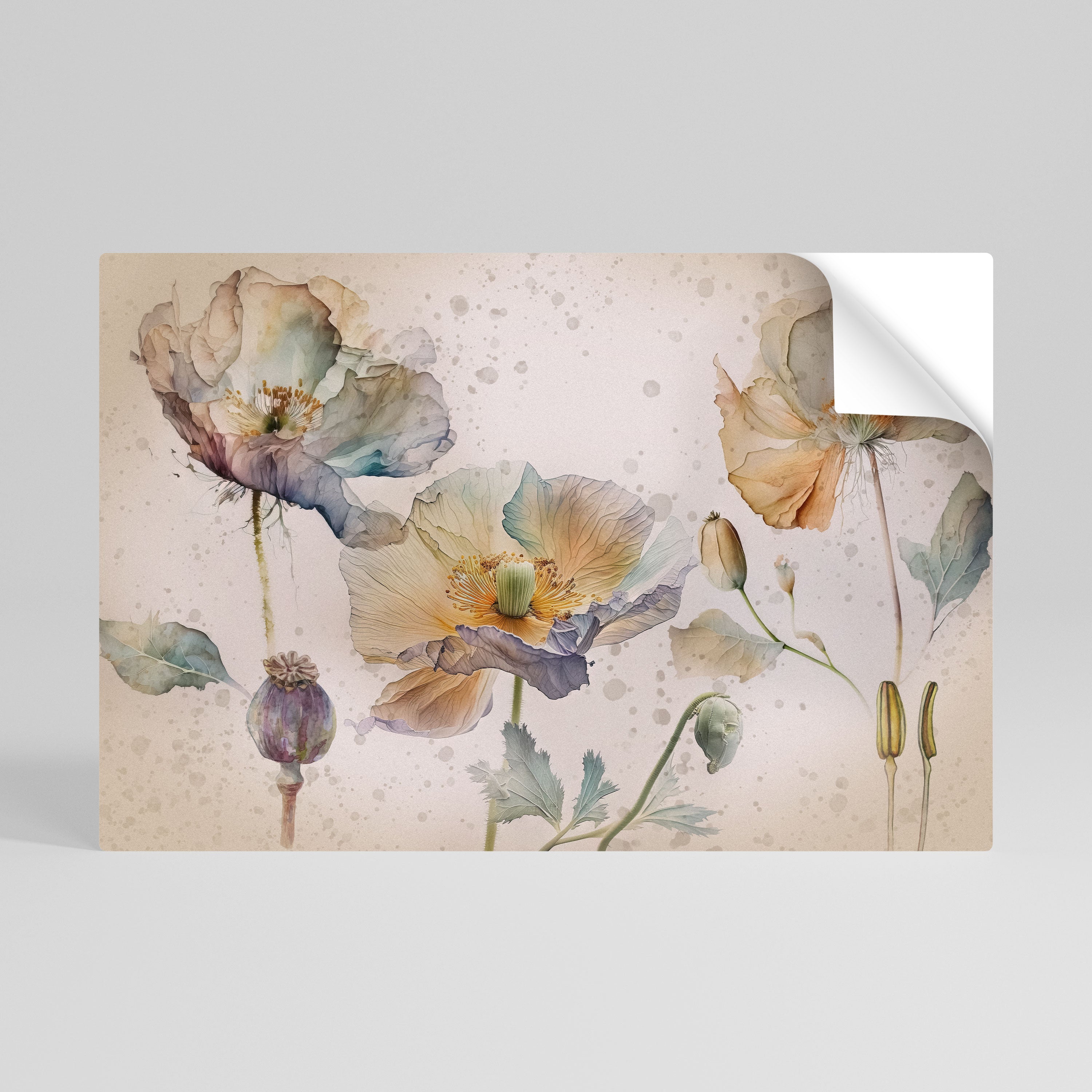Affiche horizontale autocollante SOFTEN POPPY
