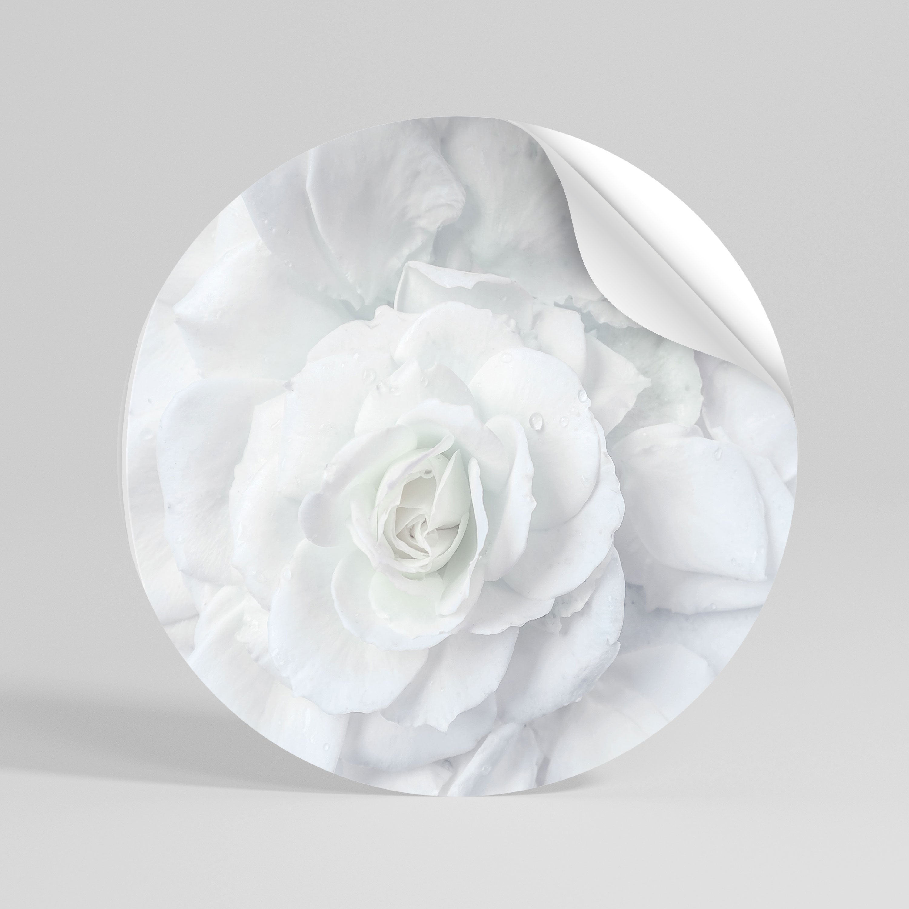 ELEGANCE IN CLARITY Peel and Stick Round Sticker