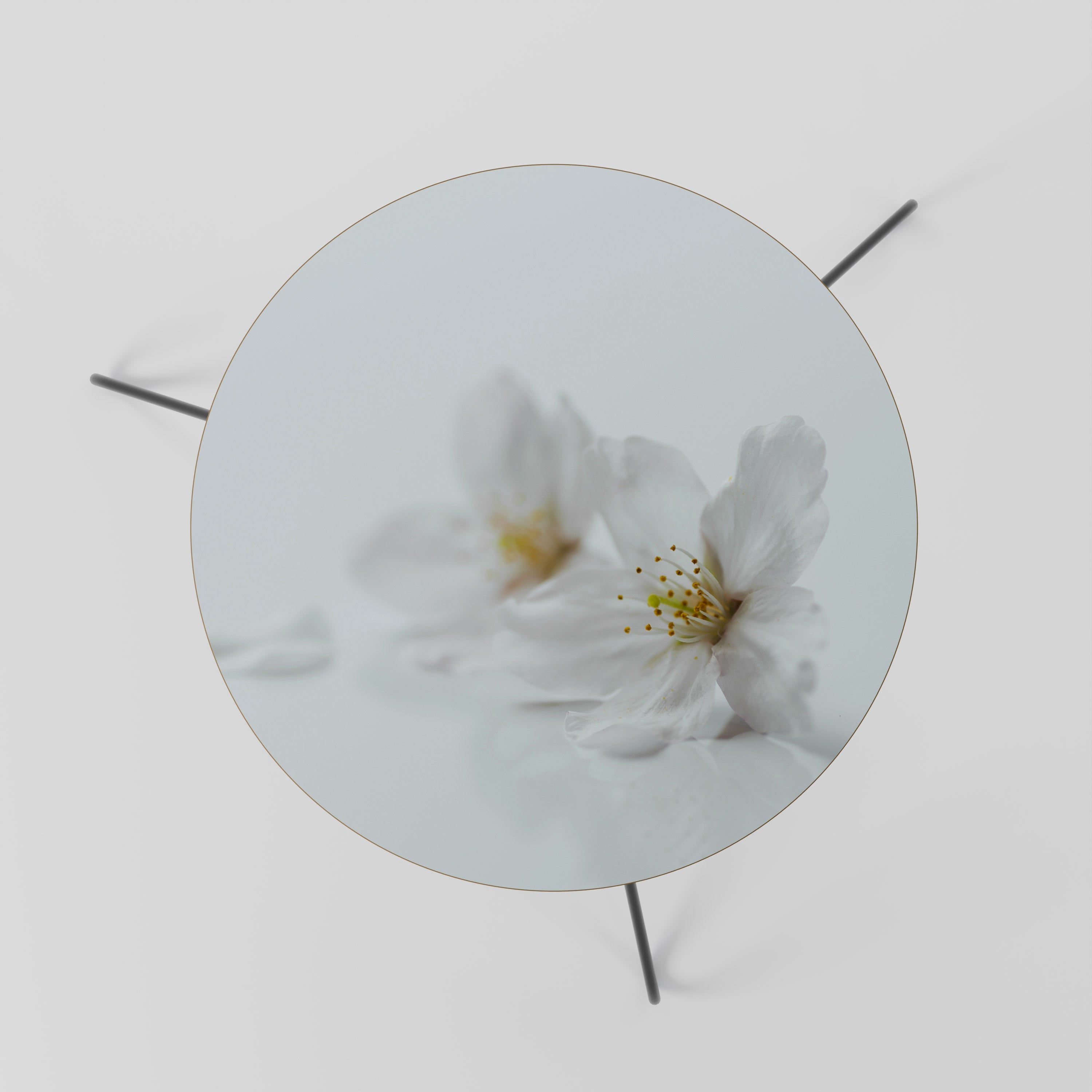 Table basse FLEETING WHITE PETALS 60