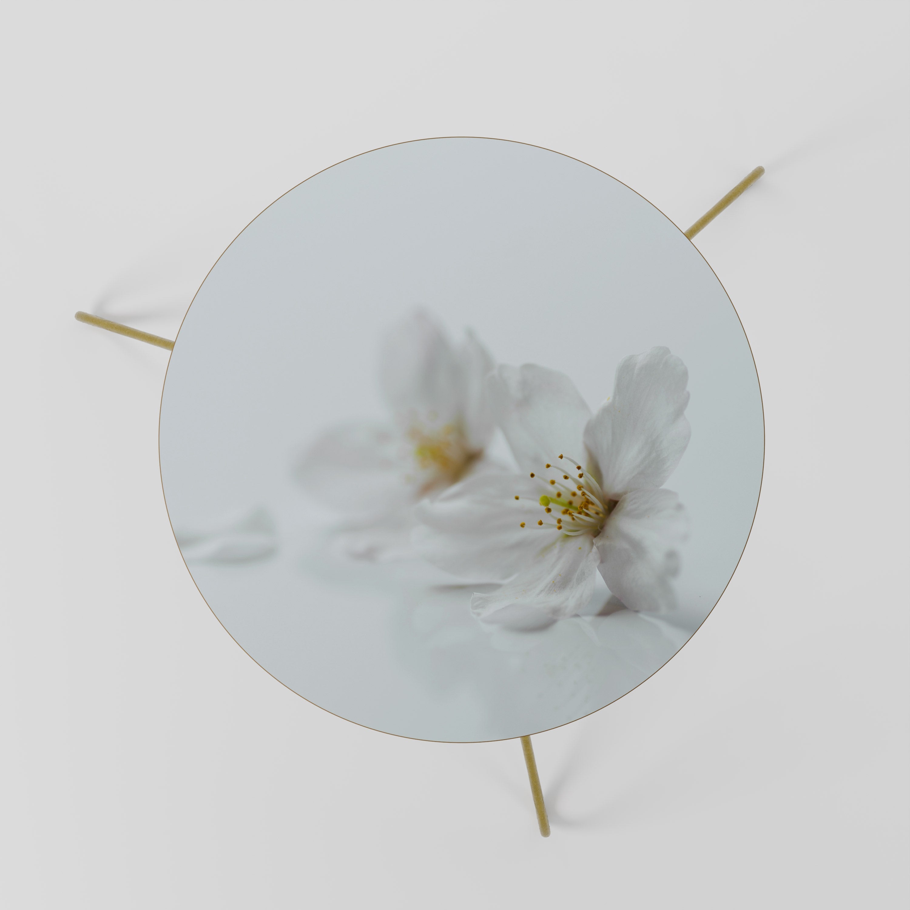 Table basse FLEETING WHITE PETALS 60