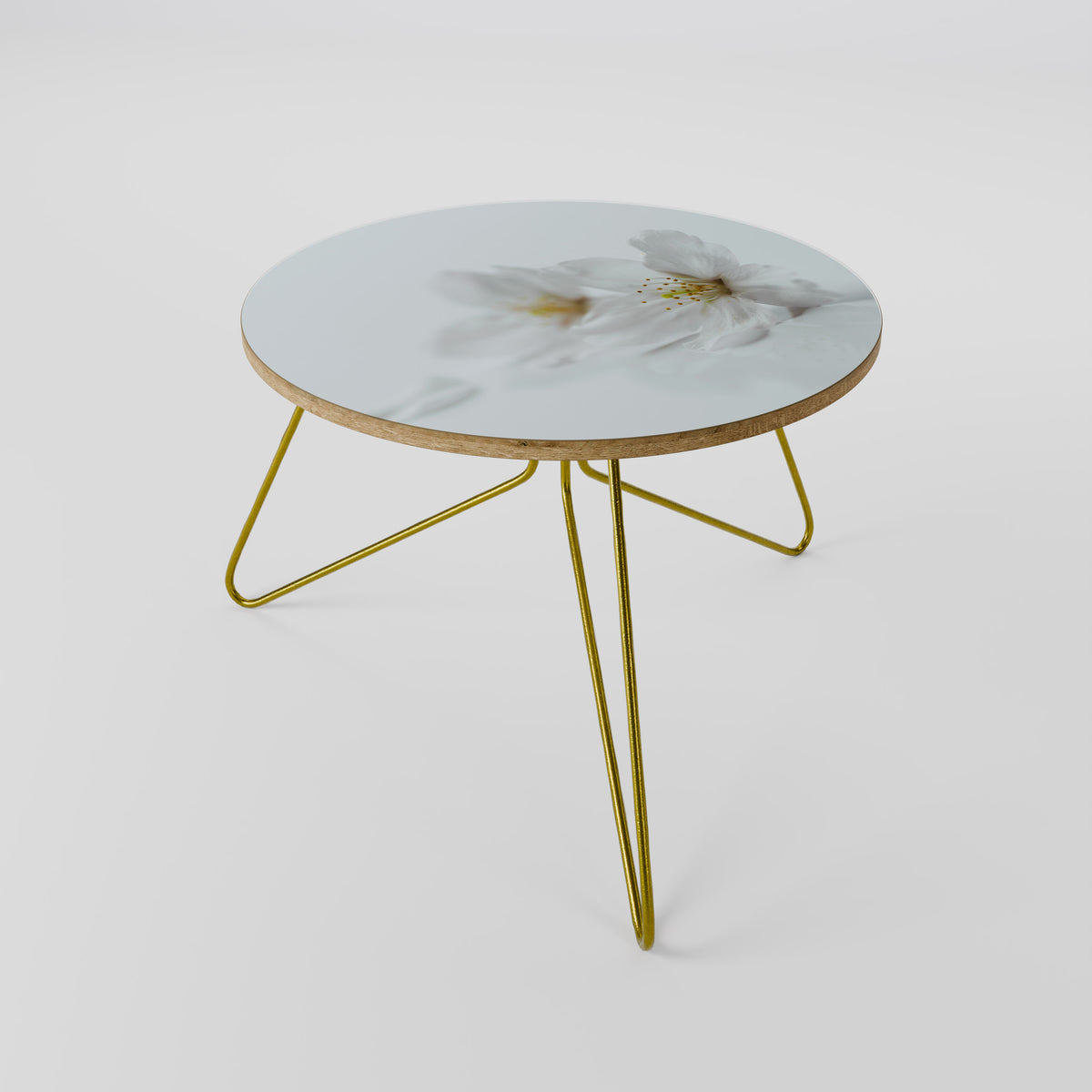 FLEETING WHITE PETALS Coffee Table