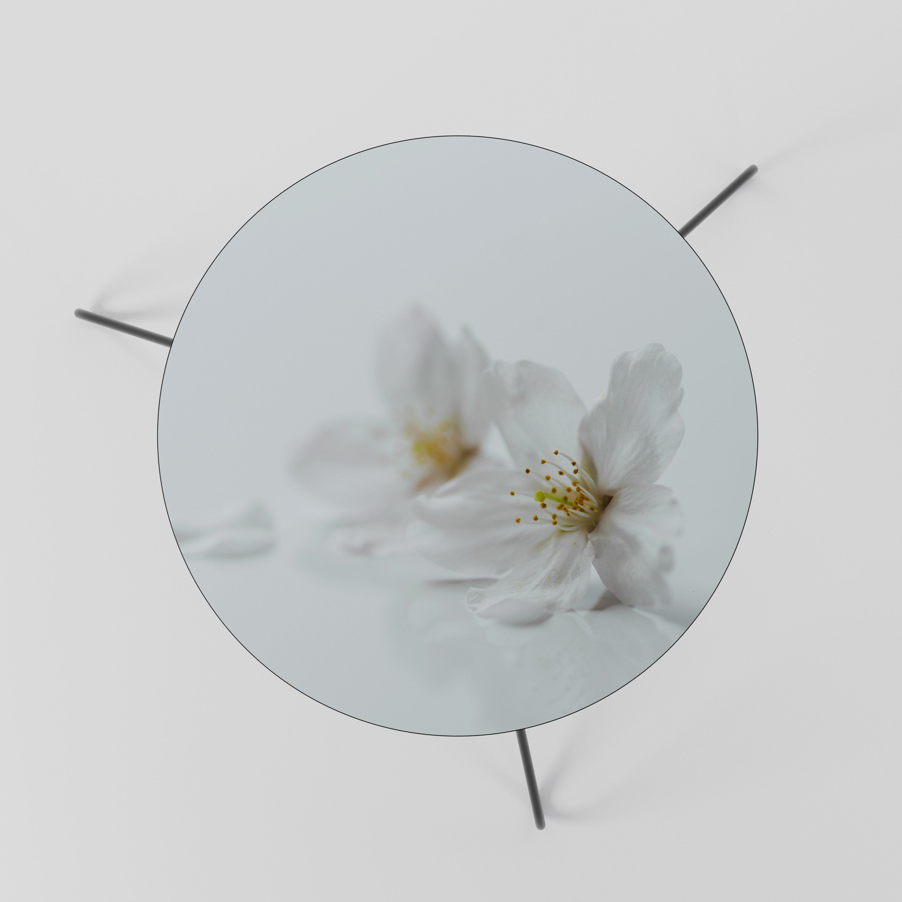 Table basse FLEETING WHITE PETALS 60