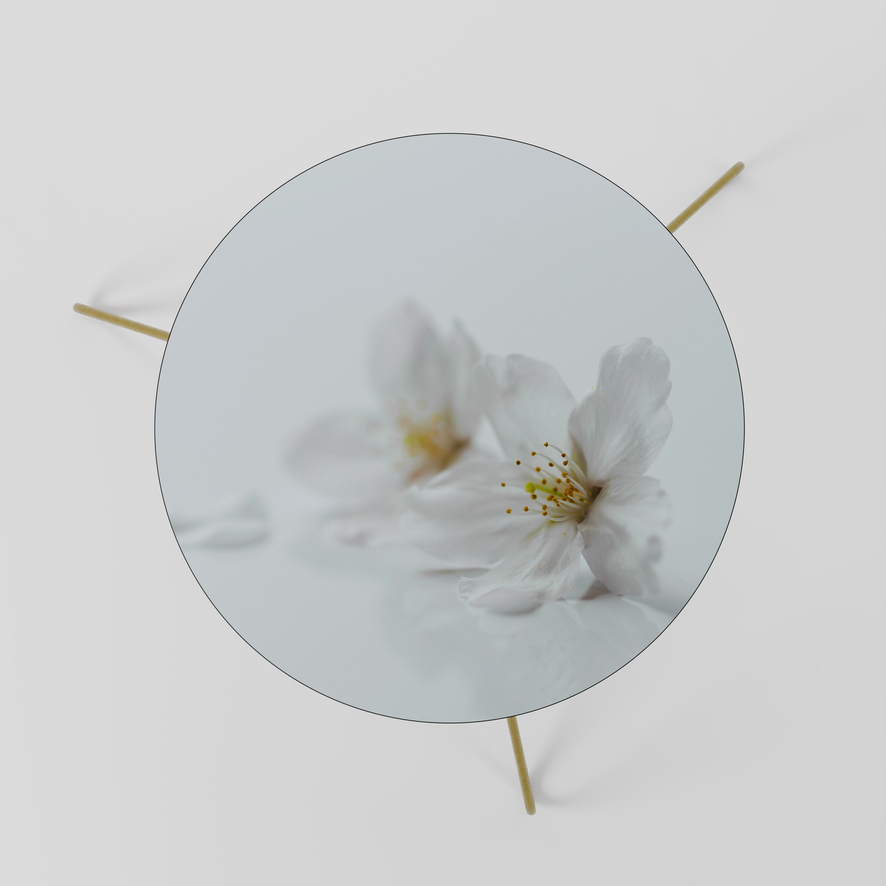 Table basse FLEETING WHITE PETALS 60