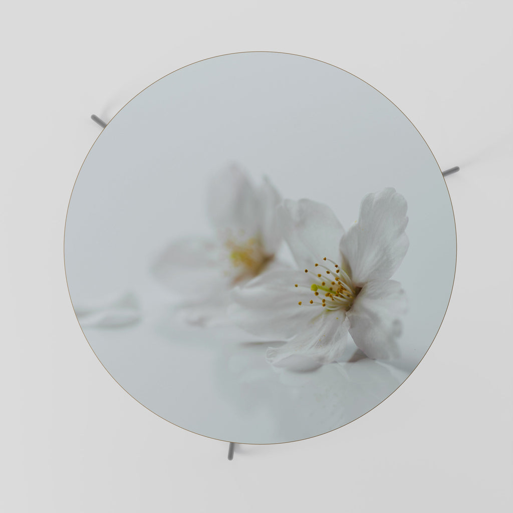 Table basse FLEETING WHITE PETALS 69