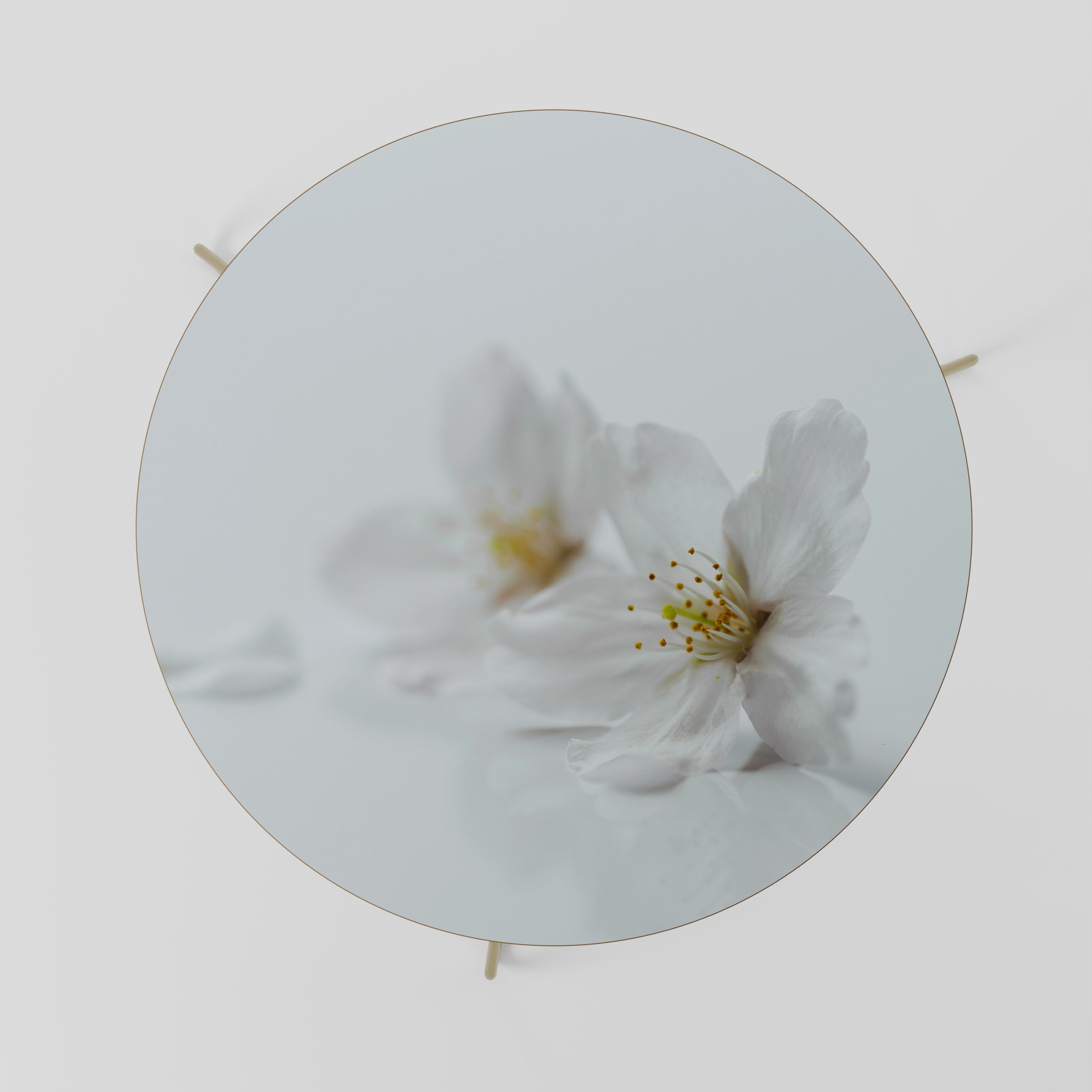 Table basse FLEETING WHITE PETALS 69