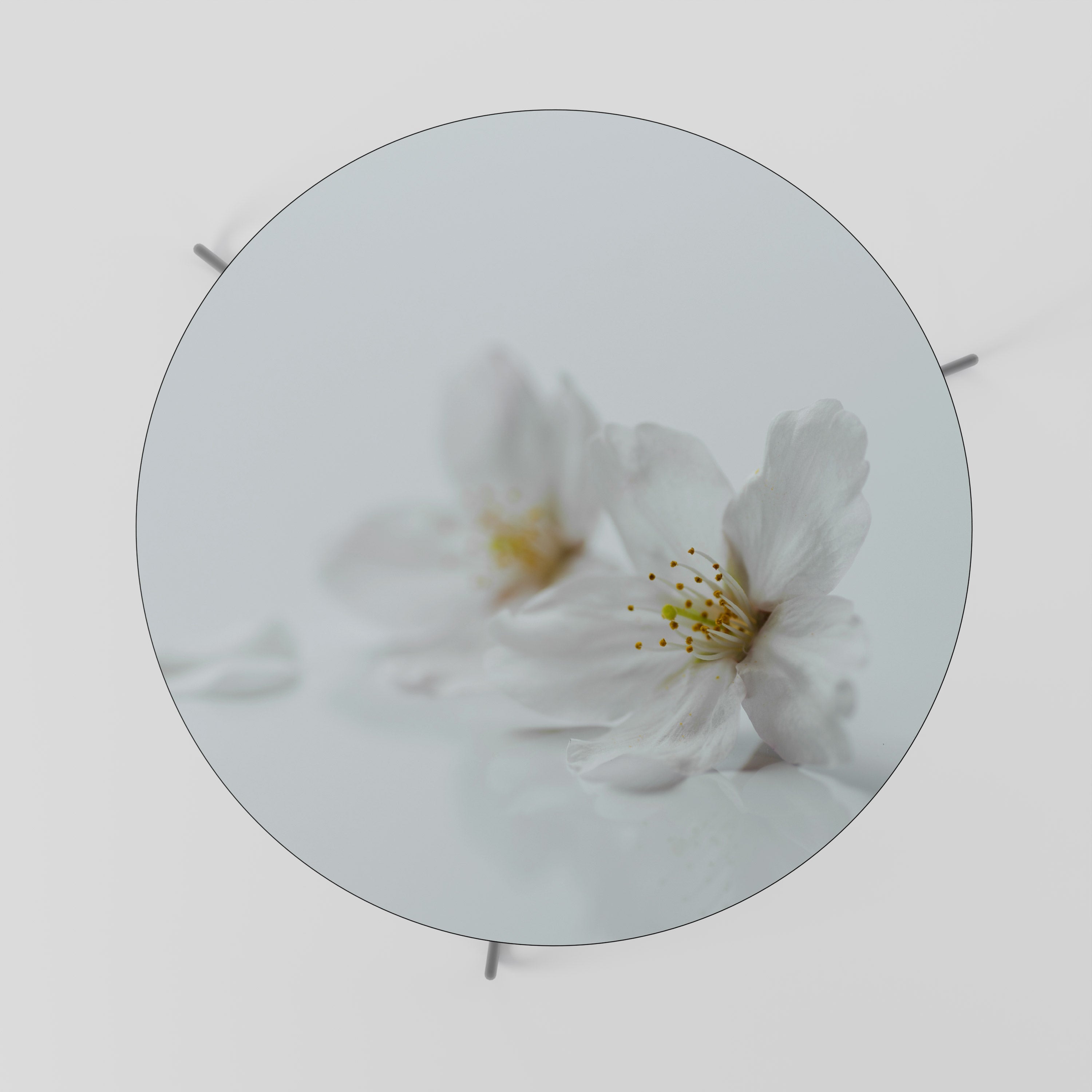 Table basse FLEETING WHITE PETALS 69