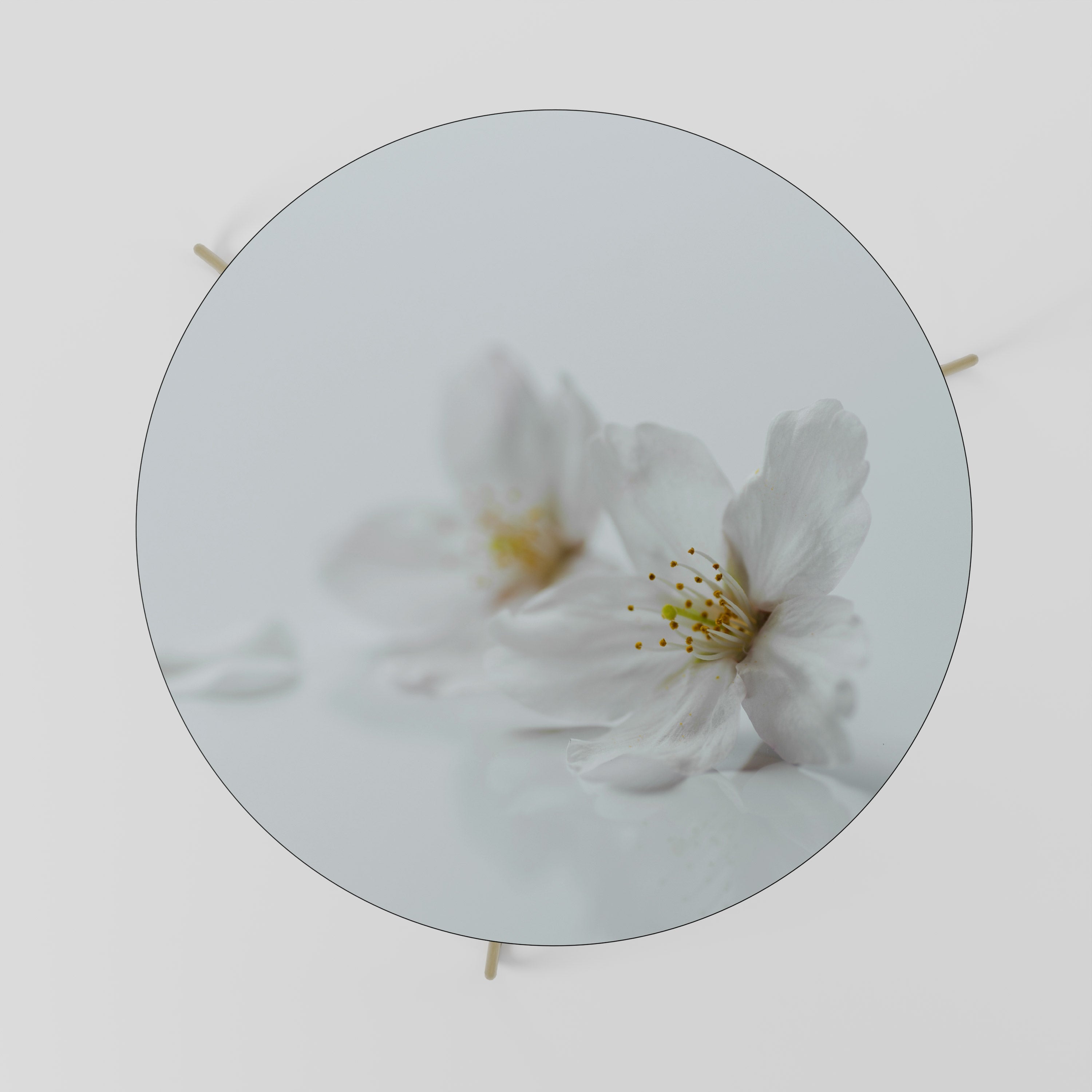 Table basse FLEETING WHITE PETALS 69