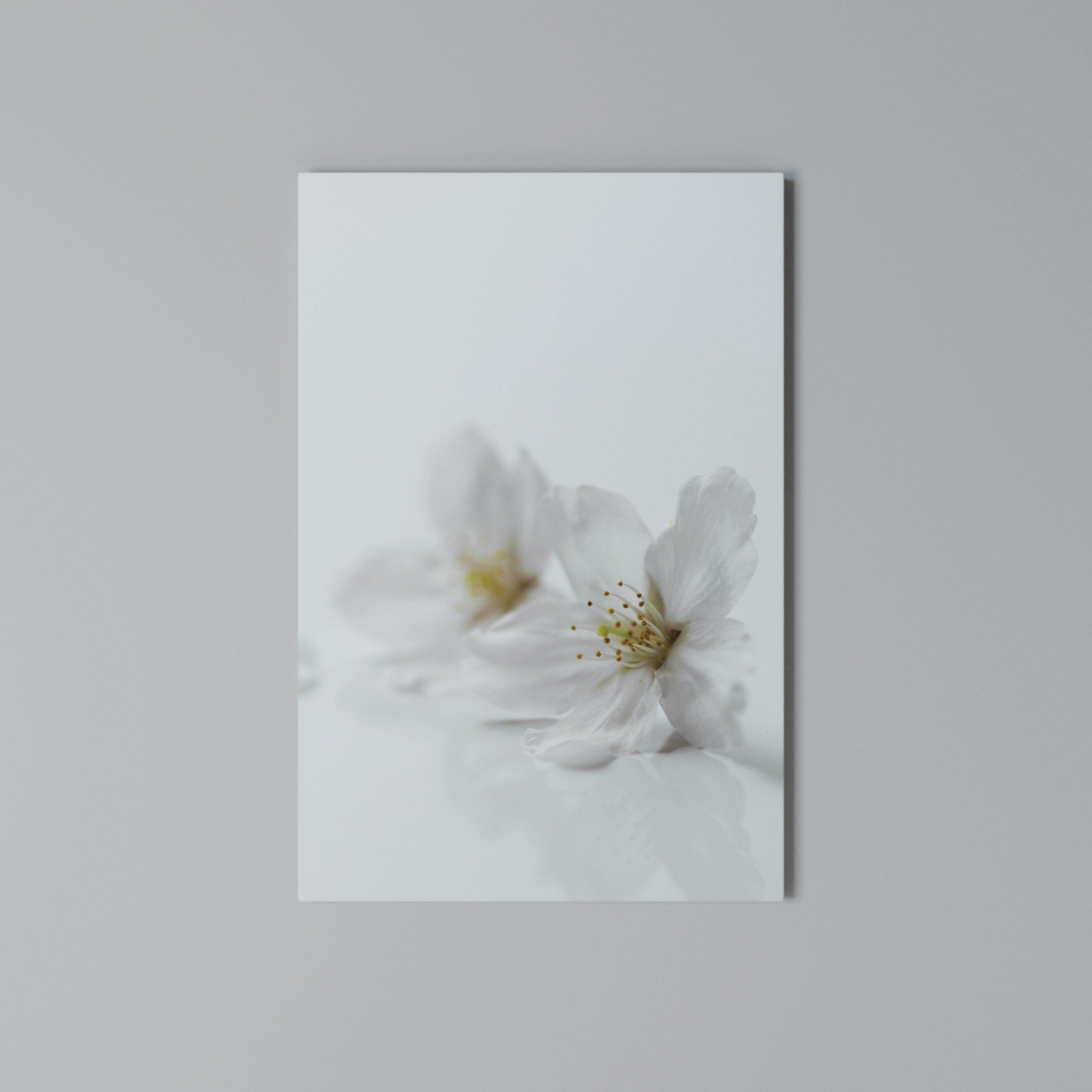 FLEETING WHITE PETALS Vertical Canvas Print