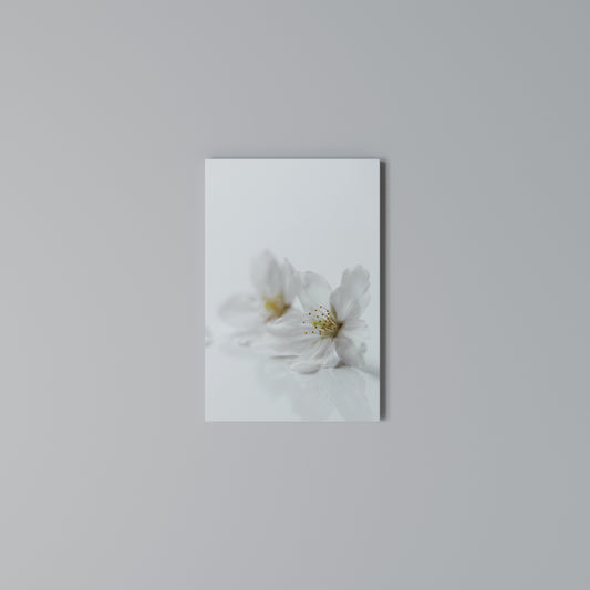 FLEETING WHITE PETALS Vertical Canvas Print