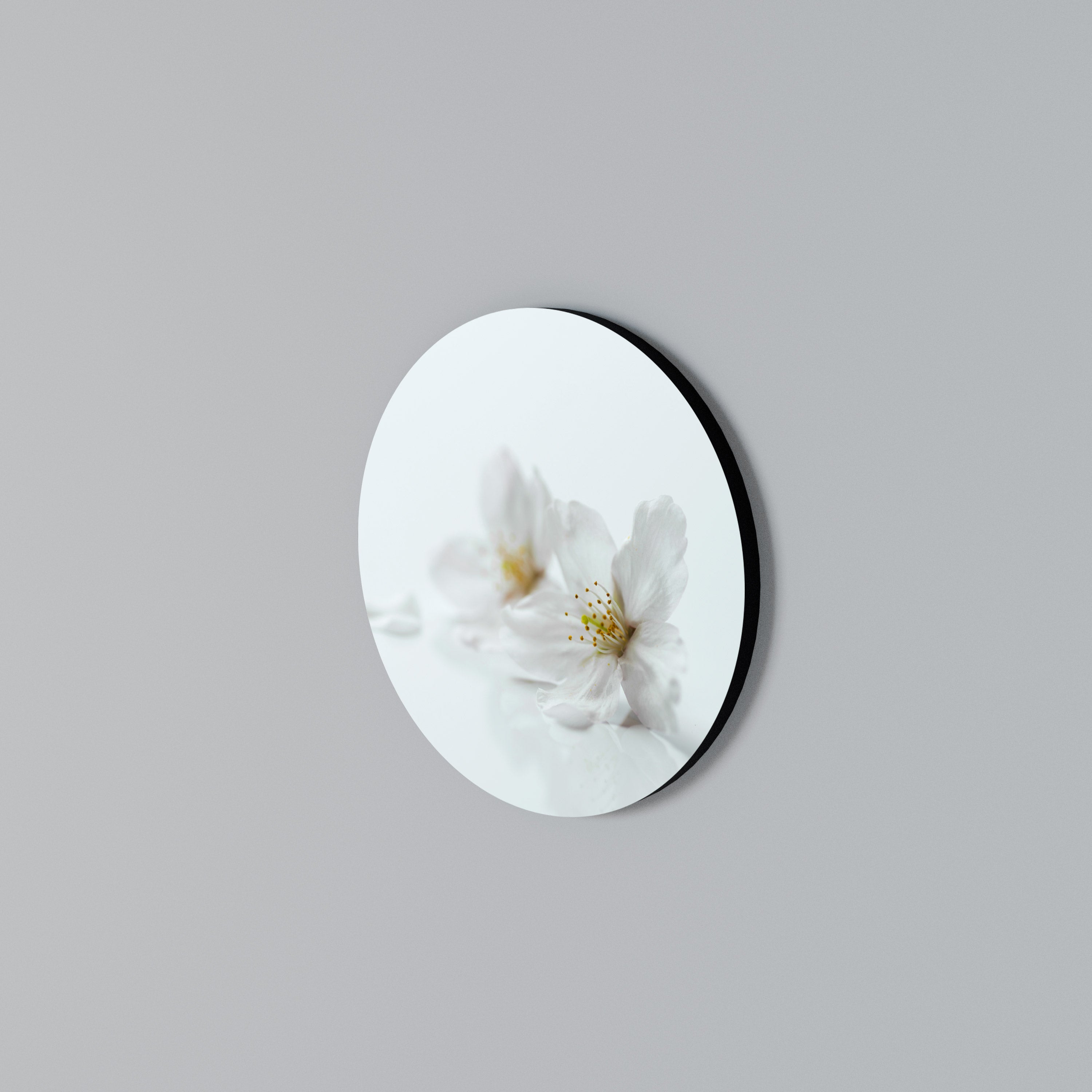 FLEETING WHITE PETALS Round Wall Art
