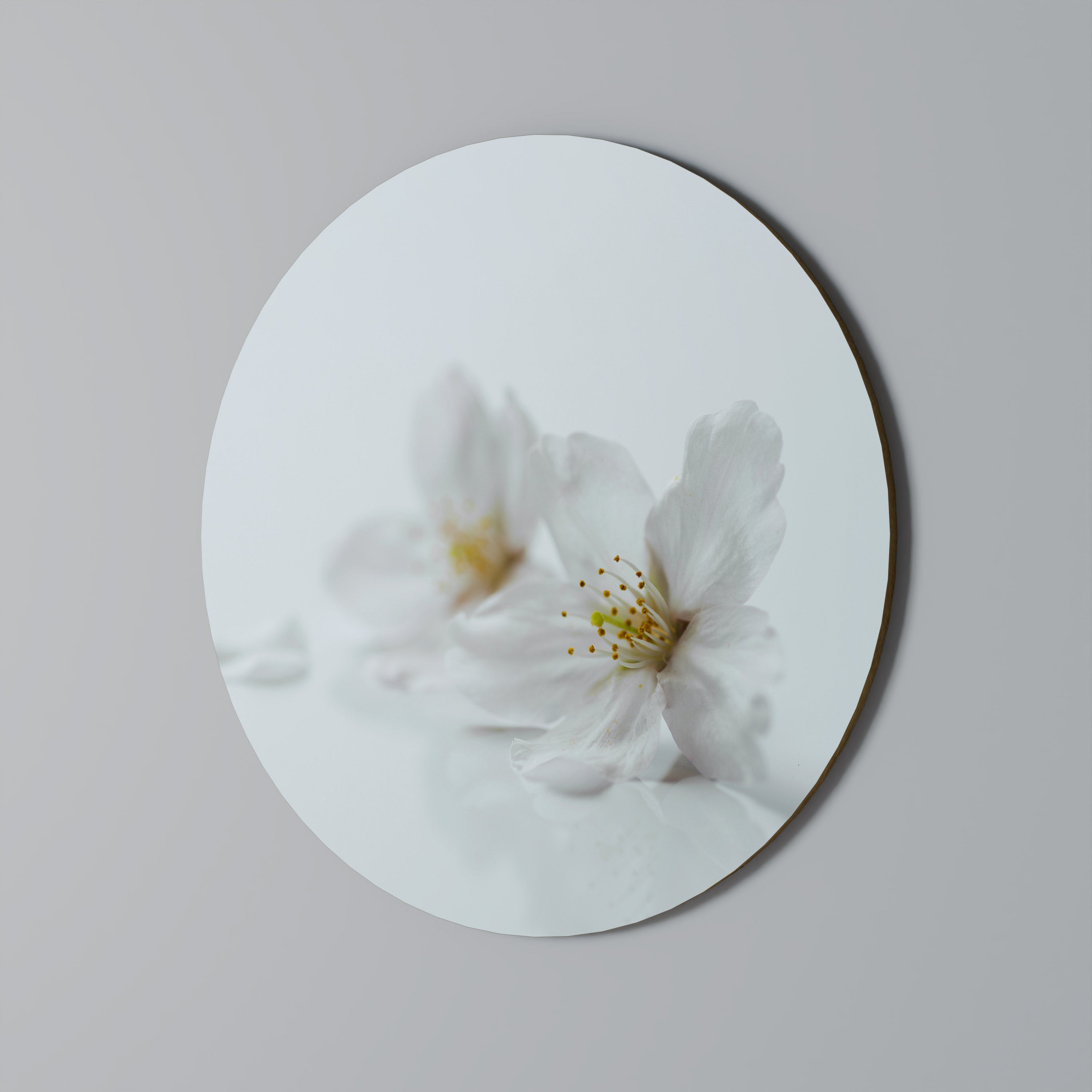 Décoration murale ronde PÉTALES BLANCHES ÉPHÉMÈRES