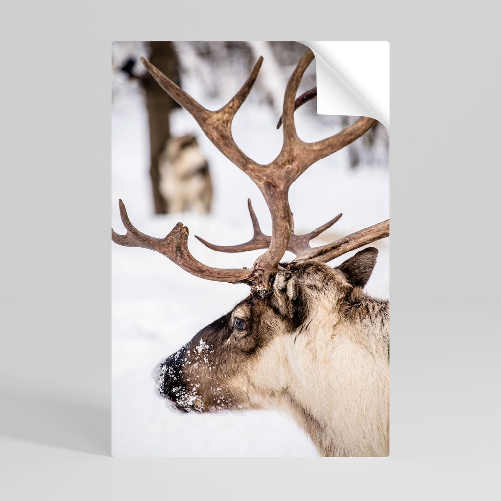 Affiche verticale autocollante « Whispers of Frost »