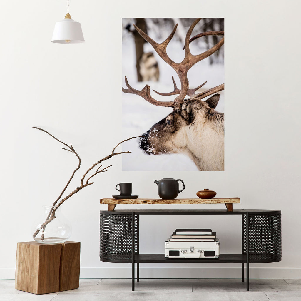 Affiche verticale autocollante « Whispers of Frost »