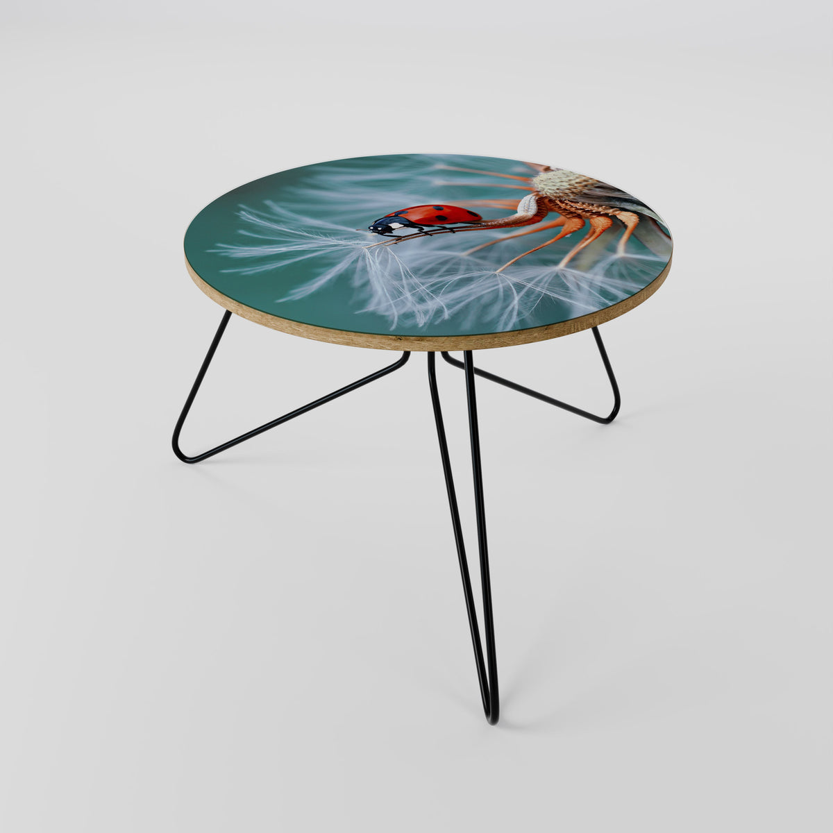 Table basse LADYBUG BALANCE 60