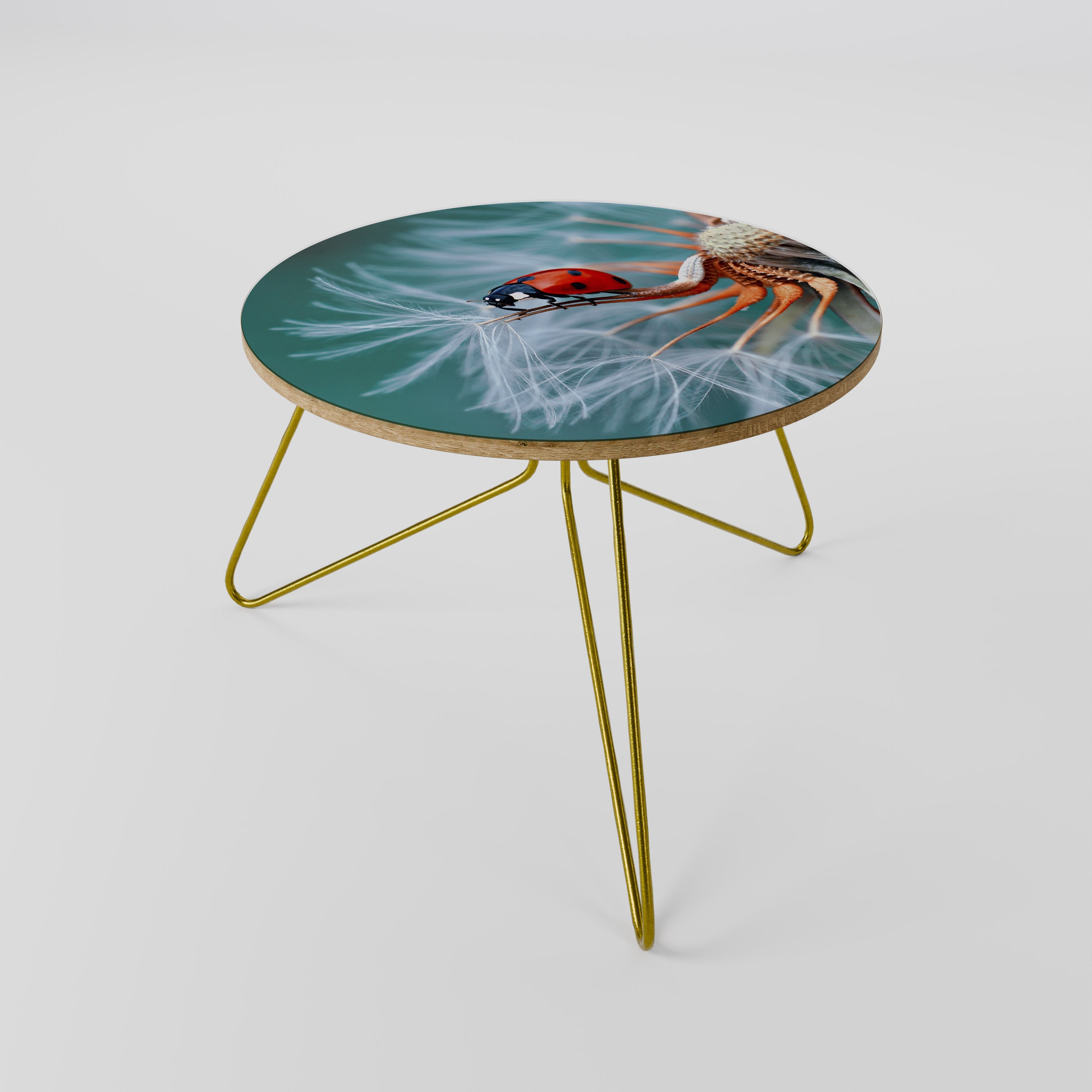 Table basse LADYBUG BALANCE 60