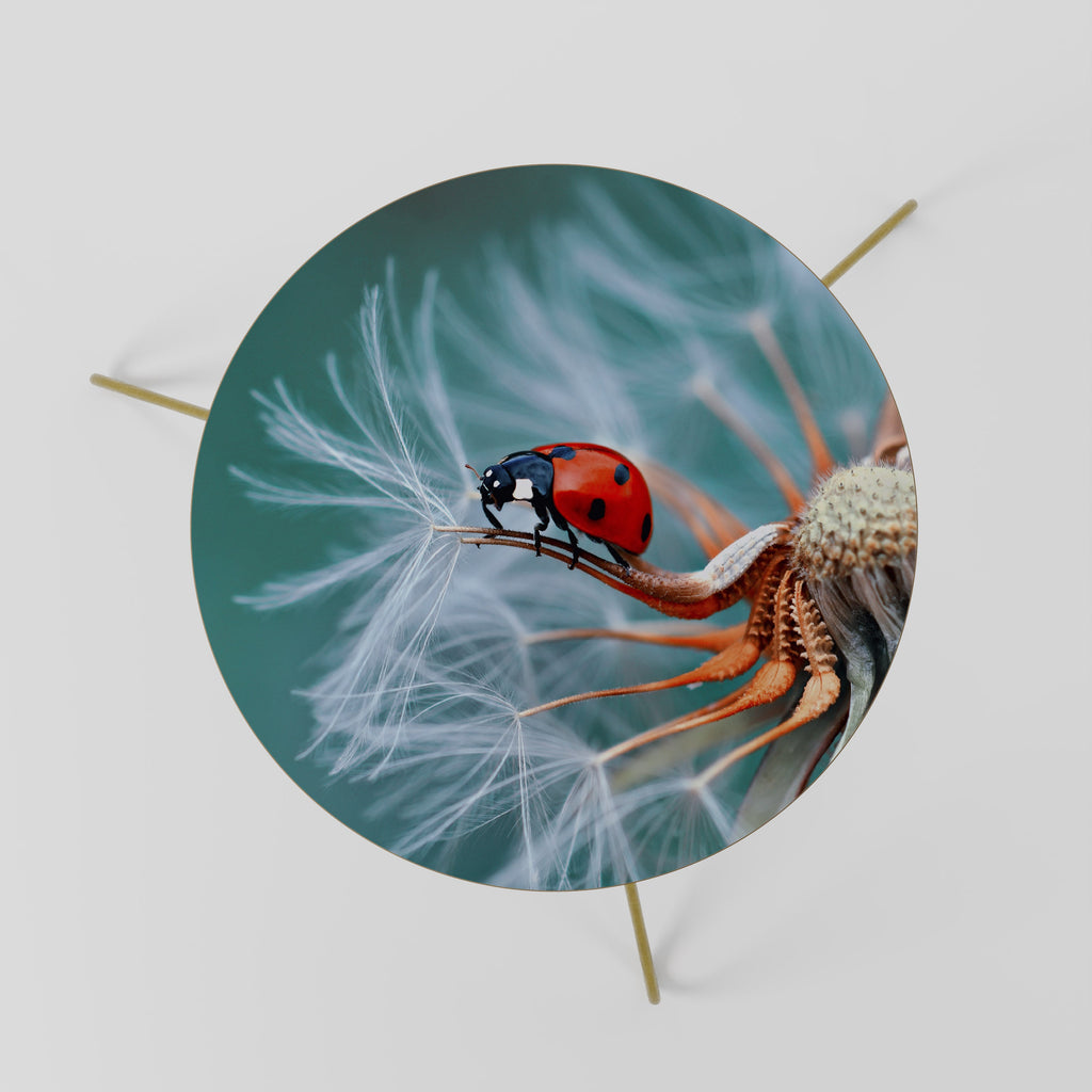 Table basse LADYBUG BALANCE 60