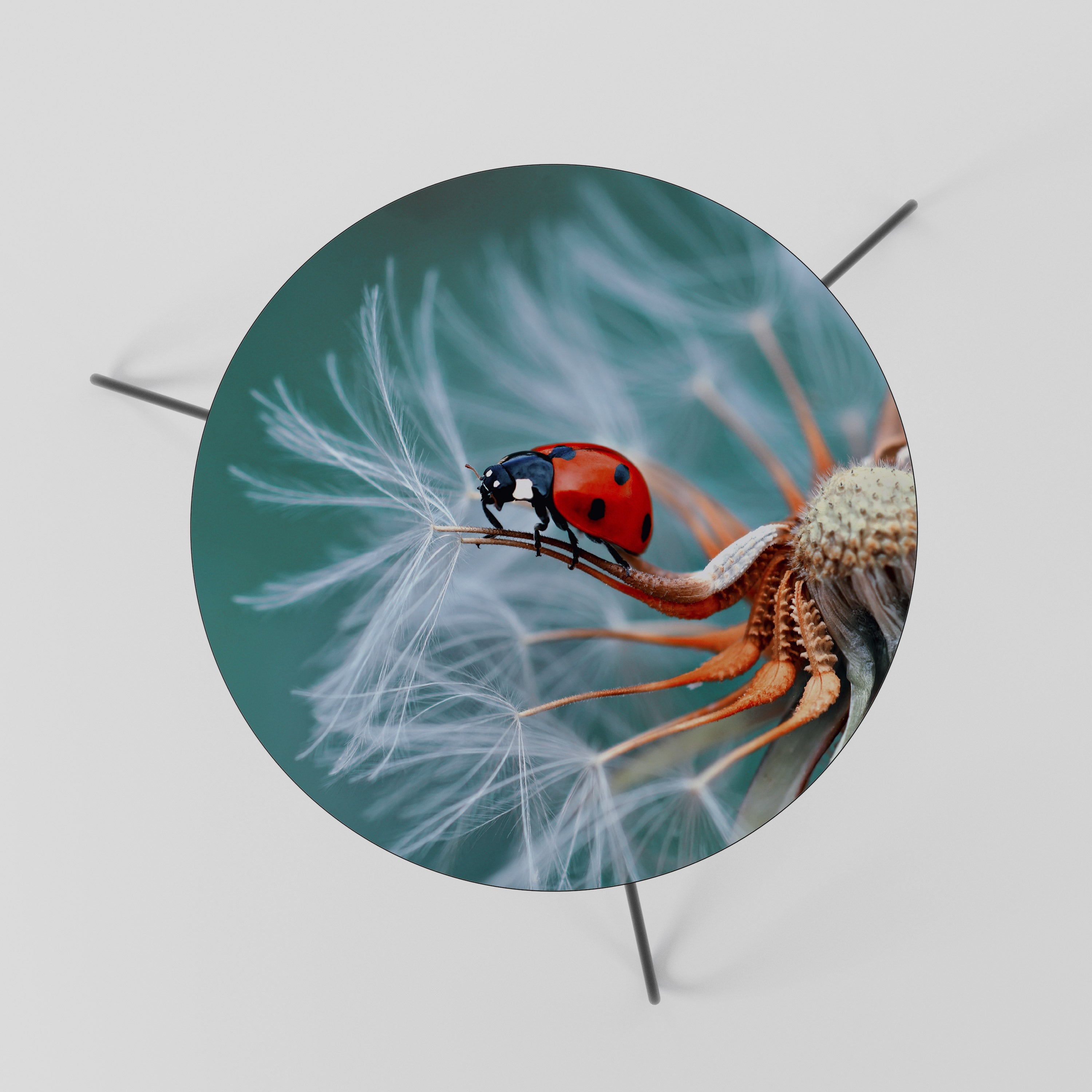 Table basse LADYBUG BALANCE 60