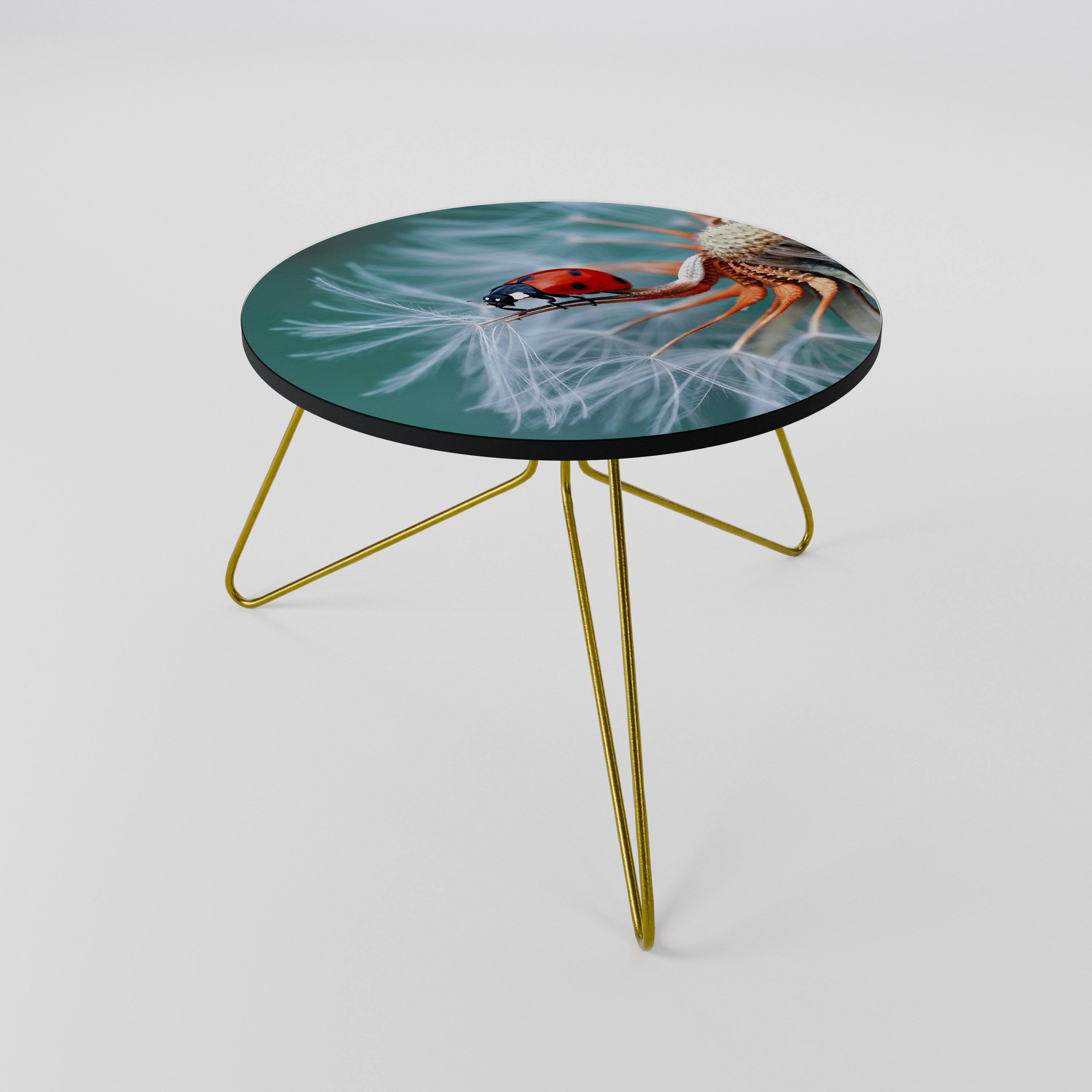 Table basse LADYBUG BALANCE 60