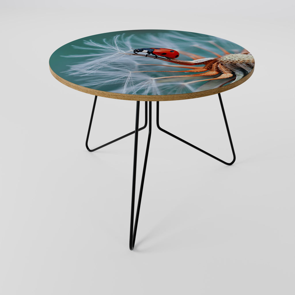 Table basse LADYBUG BALANCE 69