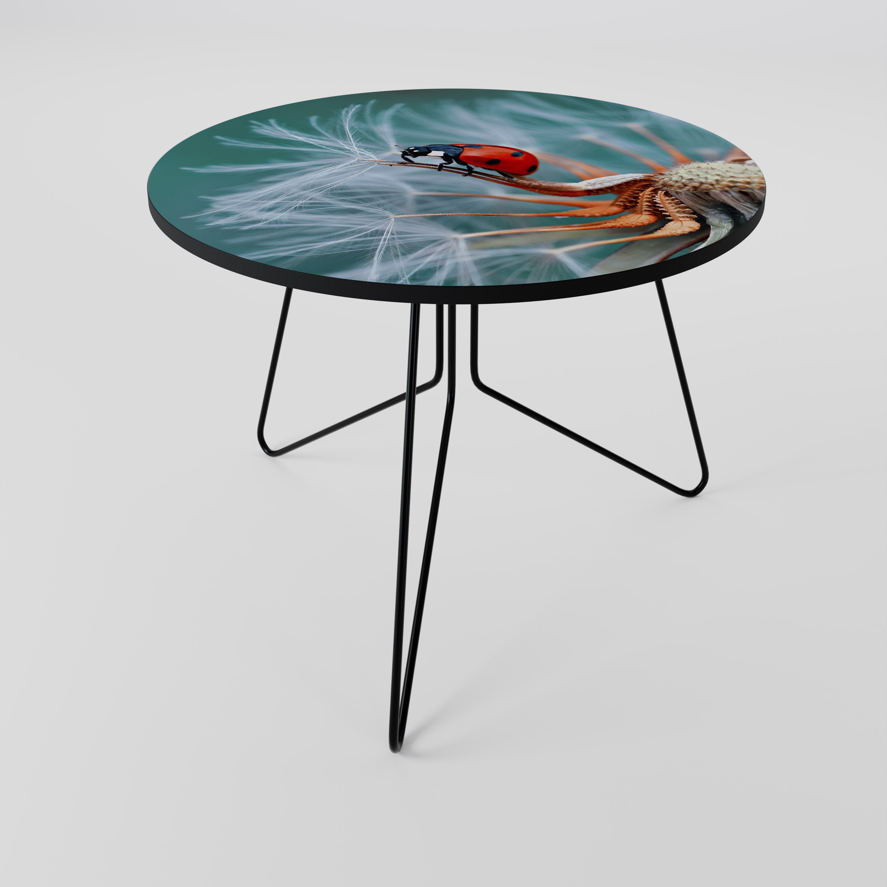 Table basse LADYBUG BALANCE 69