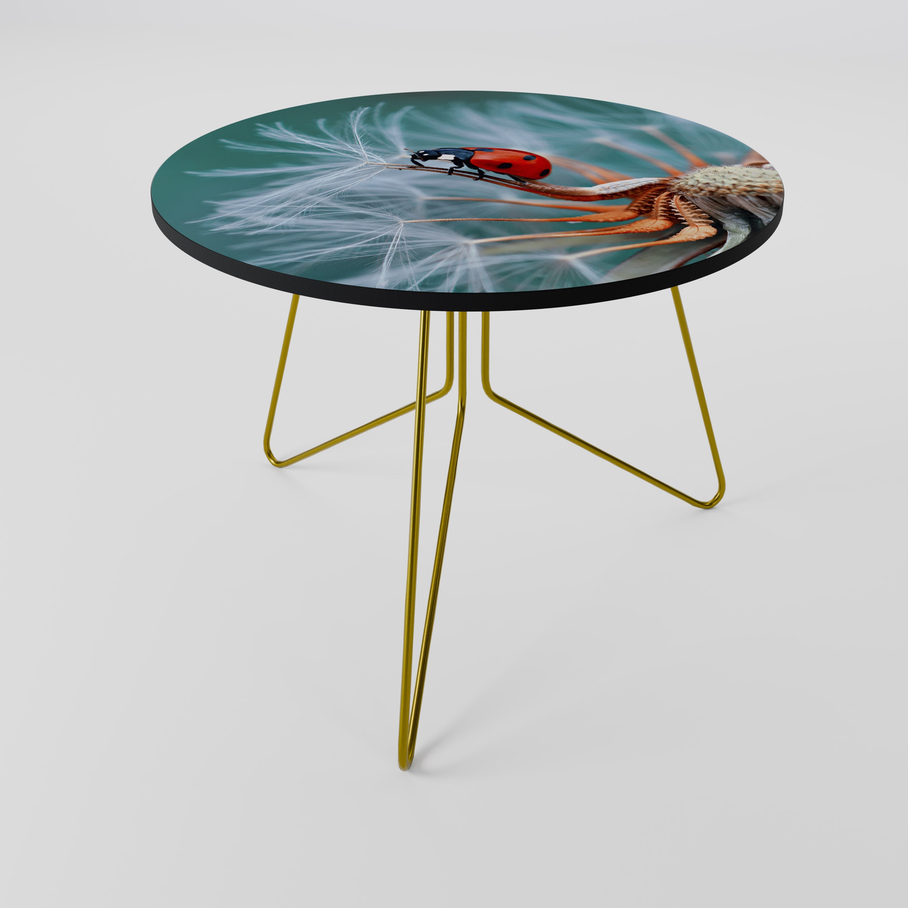 Table basse LADYBUG BALANCE 69