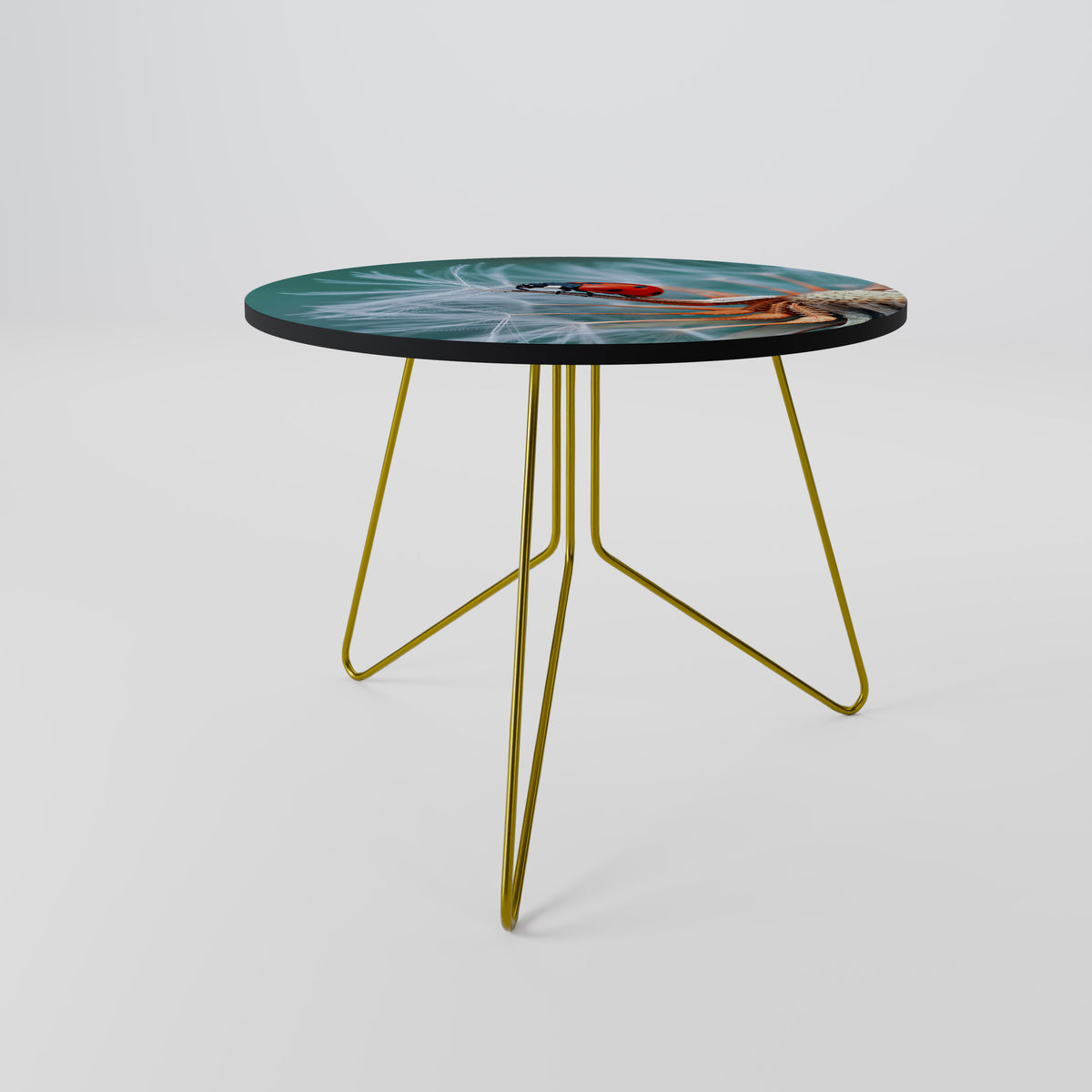 LADYBUG BALANCE Coffee Table
