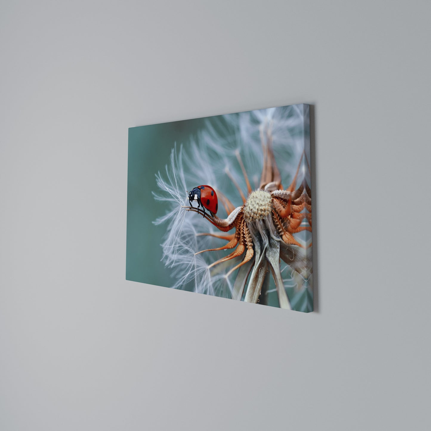 LADYBUG BALANCE Horizontal Canvas Print