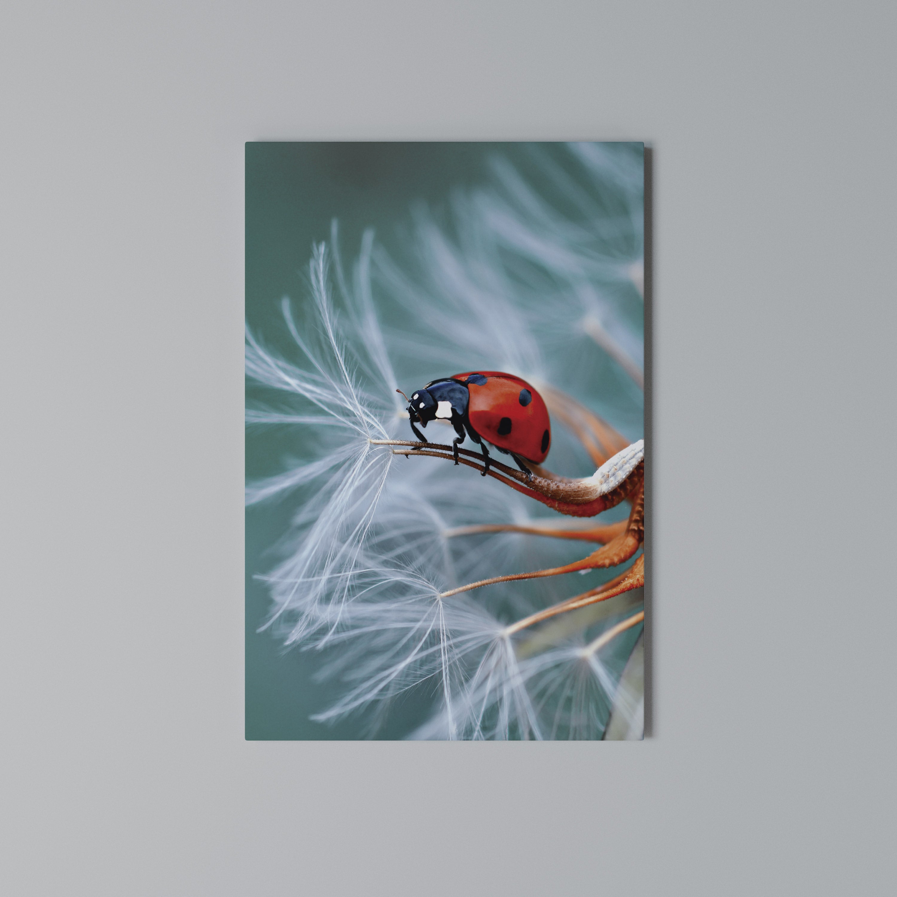 LADYBUG BALANCE Vertical Canvas Print