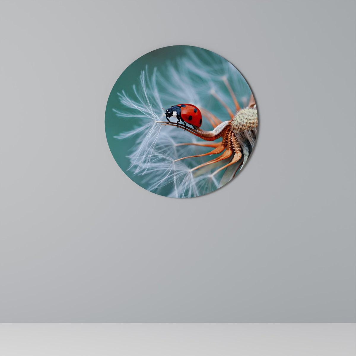 Décoration murale ronde LADYBUG BALANCE
