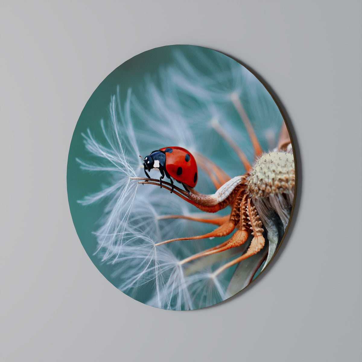 Décoration murale ronde LADYBUG BALANCE
