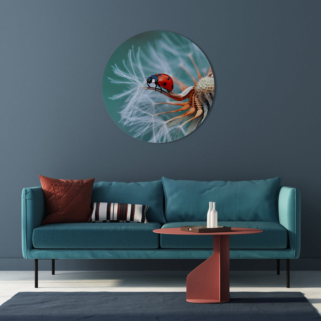 Décoration murale ronde LADYBUG BALANCE