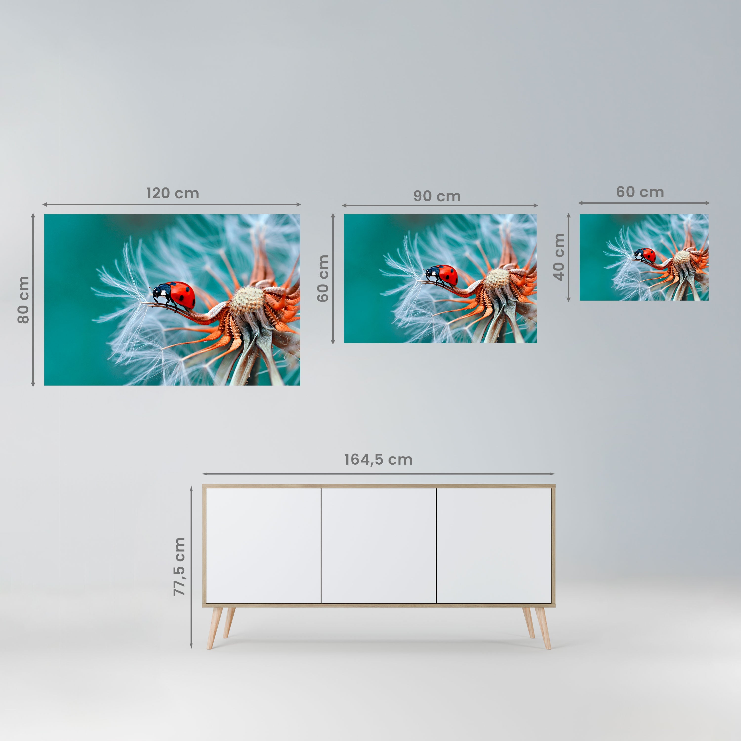 Affiche horizontale autocollante LADYBUG BALANCE