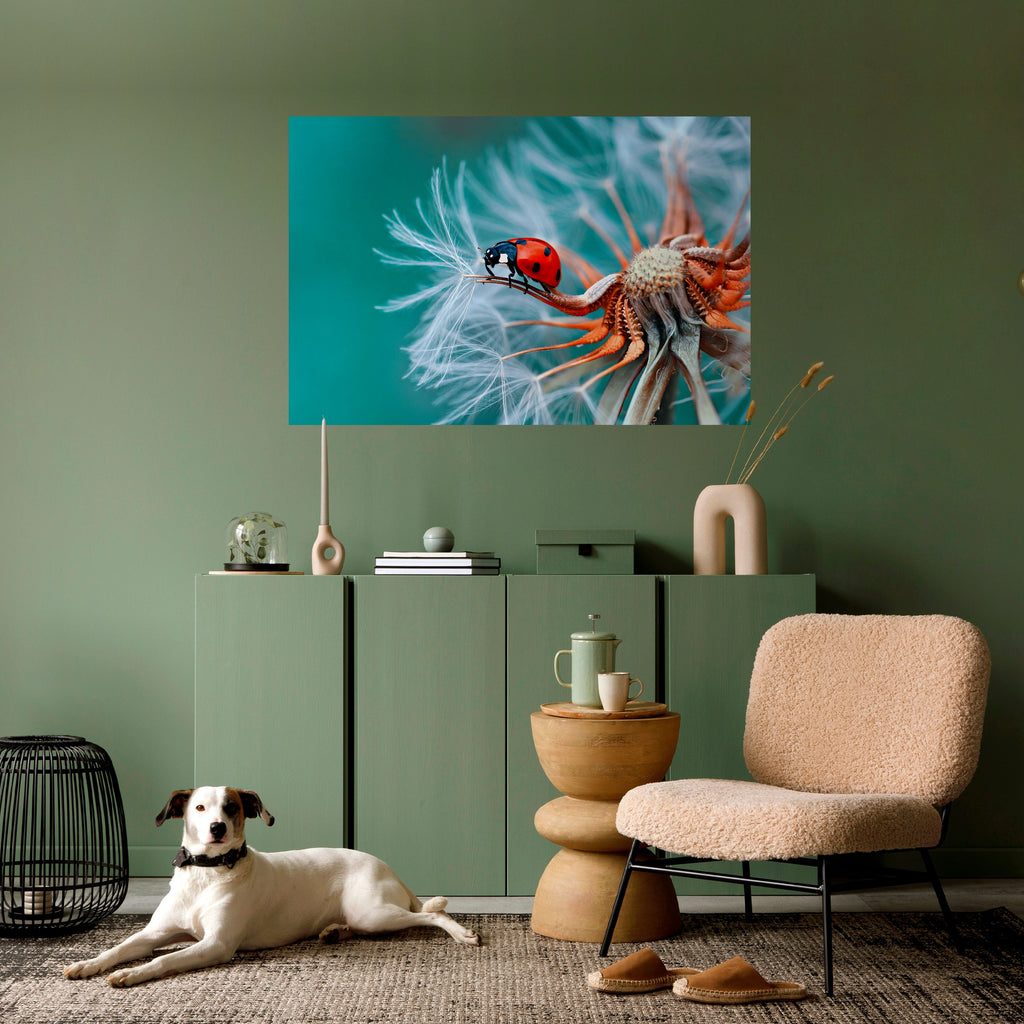 Affiche horizontale autocollante LADYBUG BALANCE