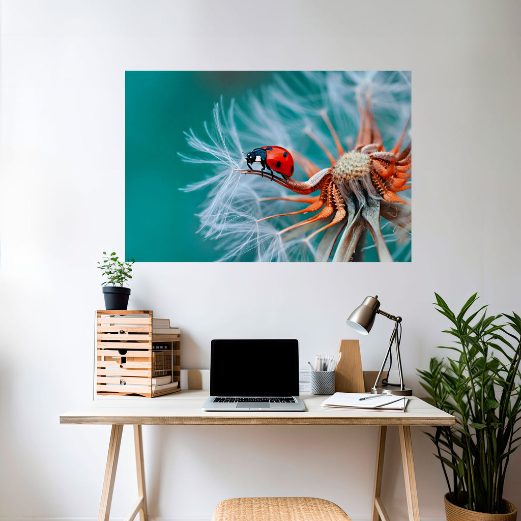 Affiche horizontale autocollante LADYBUG BALANCE