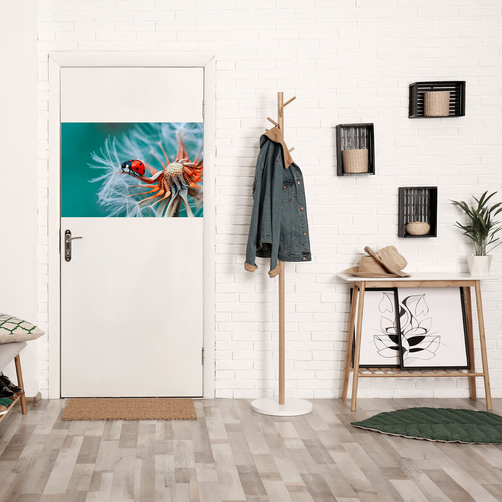 Affiche horizontale autocollante LADYBUG BALANCE