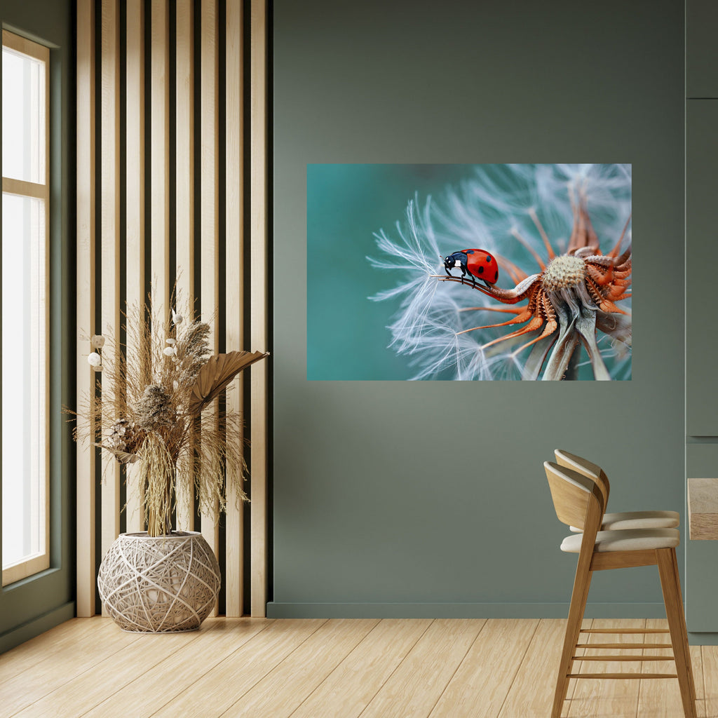 Affiche horizontale autocollante LADYBUG BALANCE