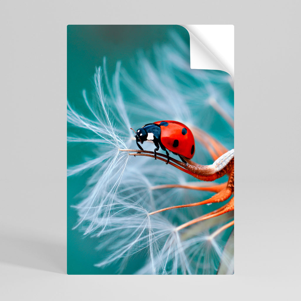 Affiche verticale autocollante LADYBUG BALANCE
