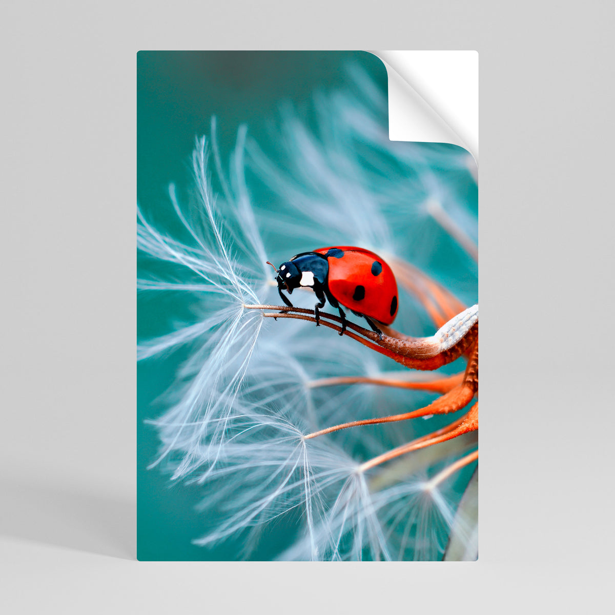 LADYBUG BALANCE Peel and Stick Vertical Poster